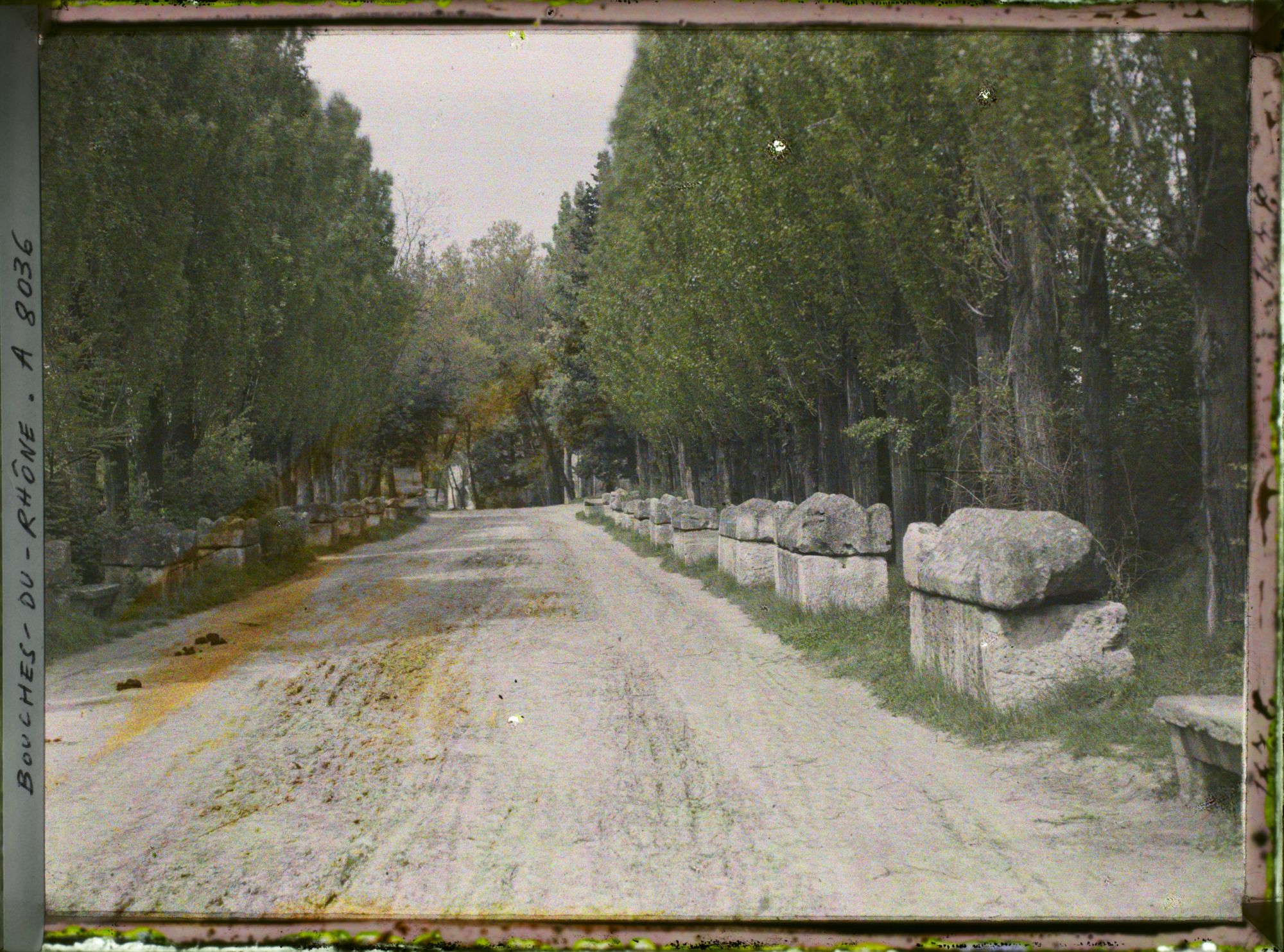 Image représentant L'allée des sarcophages, nécropole des Alyscamps