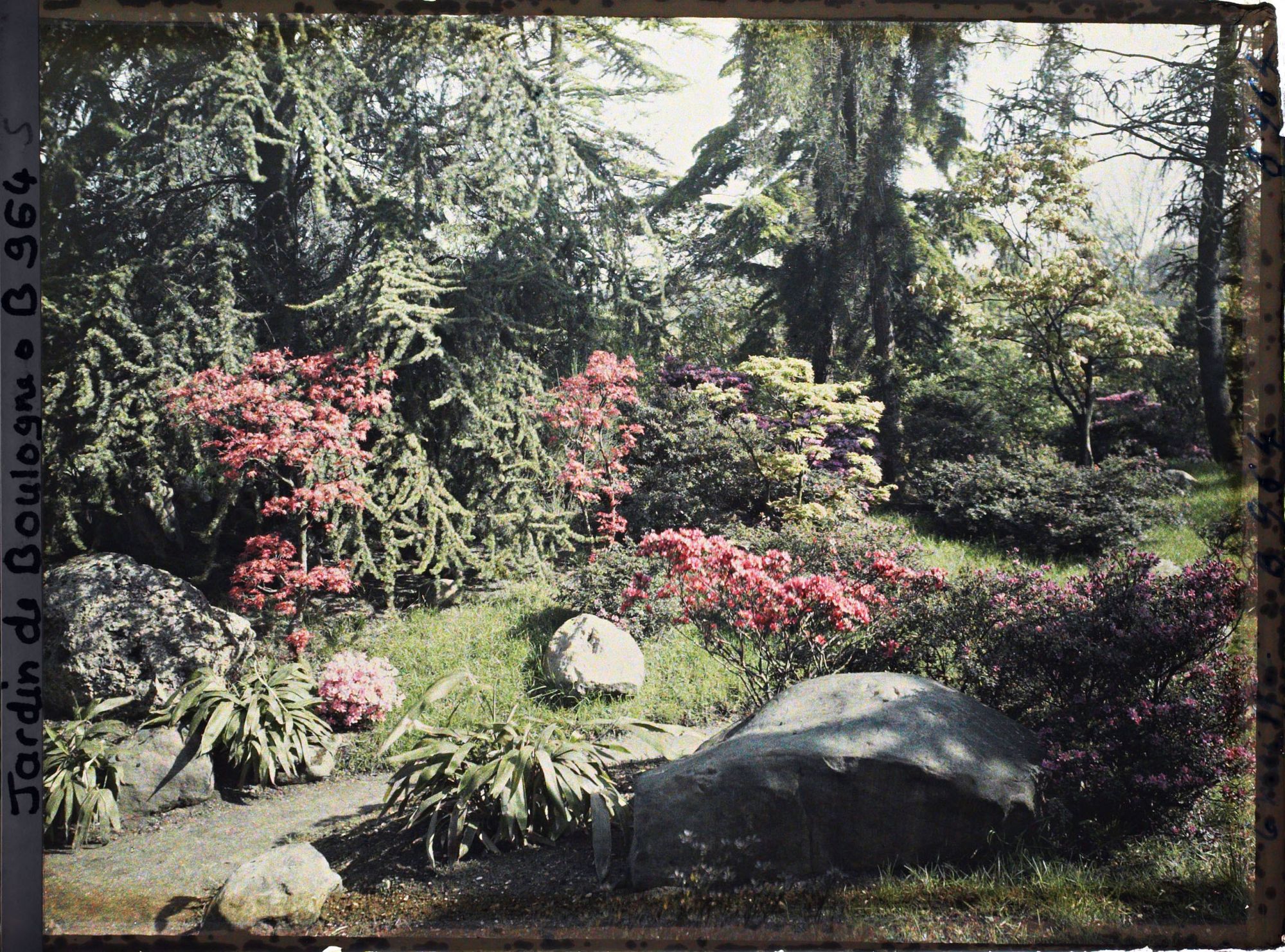 Image représentant Pierres, azalées et érables rougeoyants, situés à l'entrée du " sanctuaire japonais "