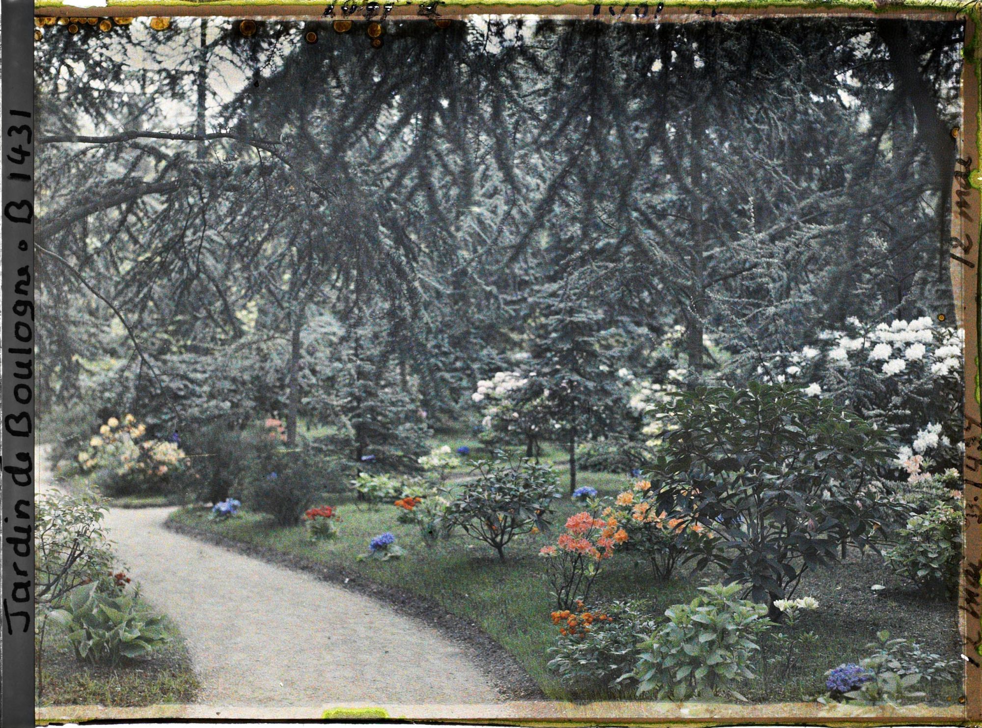 Image représentant L'allée qui longe le laboratoire et passe dans la forêt bleue, au deuxième plan le chemin qui mène à la grande pelouse