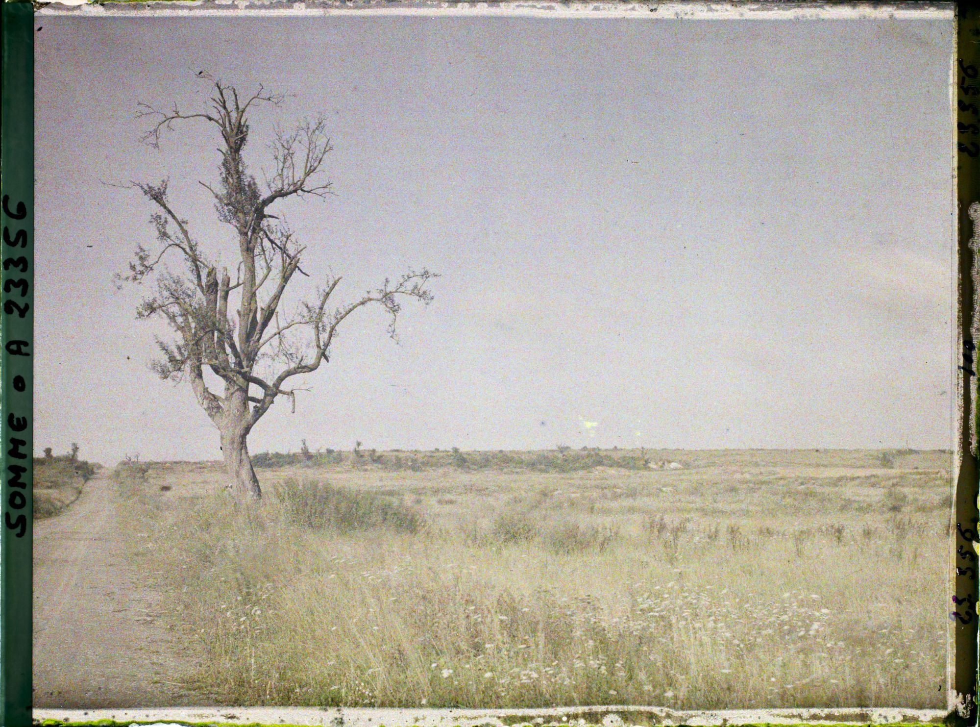 Image représentant France, La Maisonnette, La Cote 97 (La Maisonnette) vue de l'est
