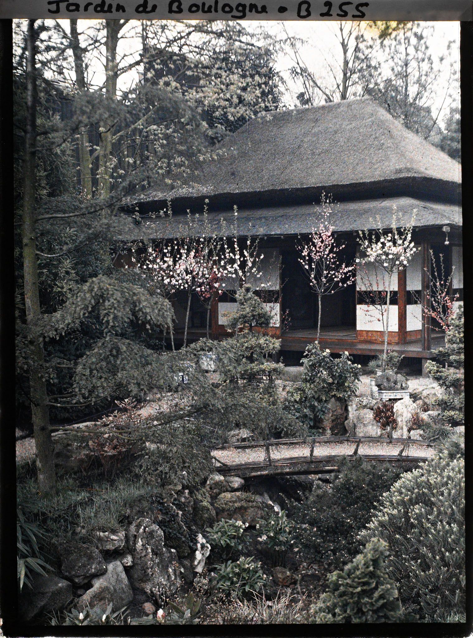 Image représentant Pont et rivière sèche près de la maison ouest du " village japonais " ornée d'arbres en pots fleuris