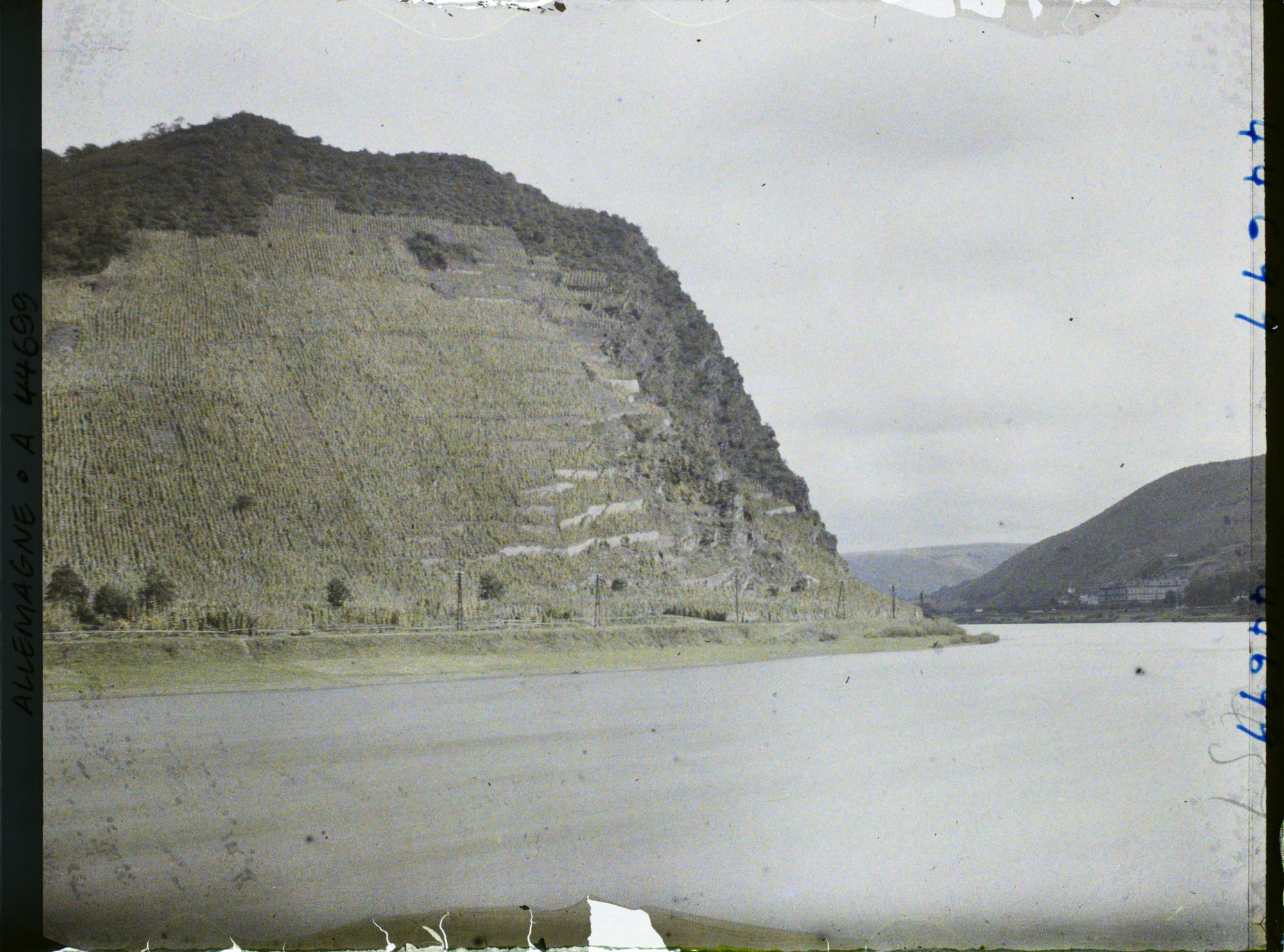 Image représentant Allemagne, Cochem (Moselle), Les Vignes en face Cochem