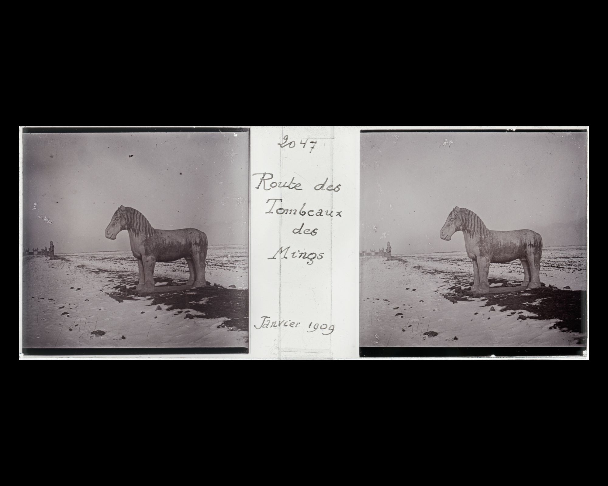 Image représentant Ming Shisanling ("Treize Tombeaux des Ming"). L'un des deux chevaux debout de l'allée des statues