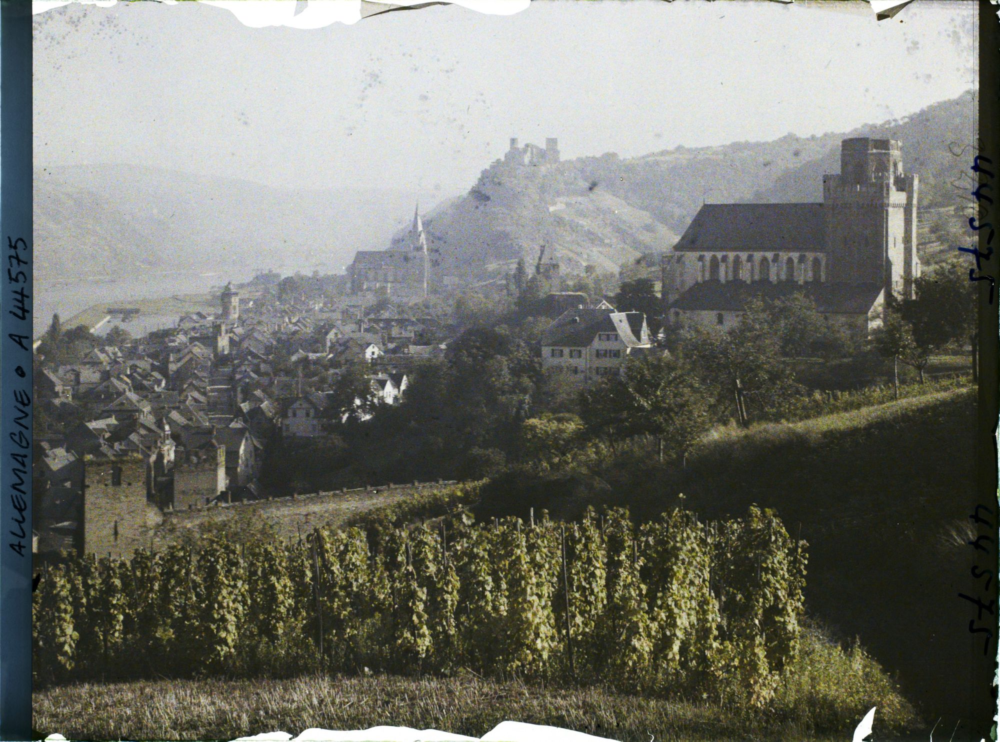 Image représentant Allemagne, Oberwesel, Panorama vers St Martin et le Rhin