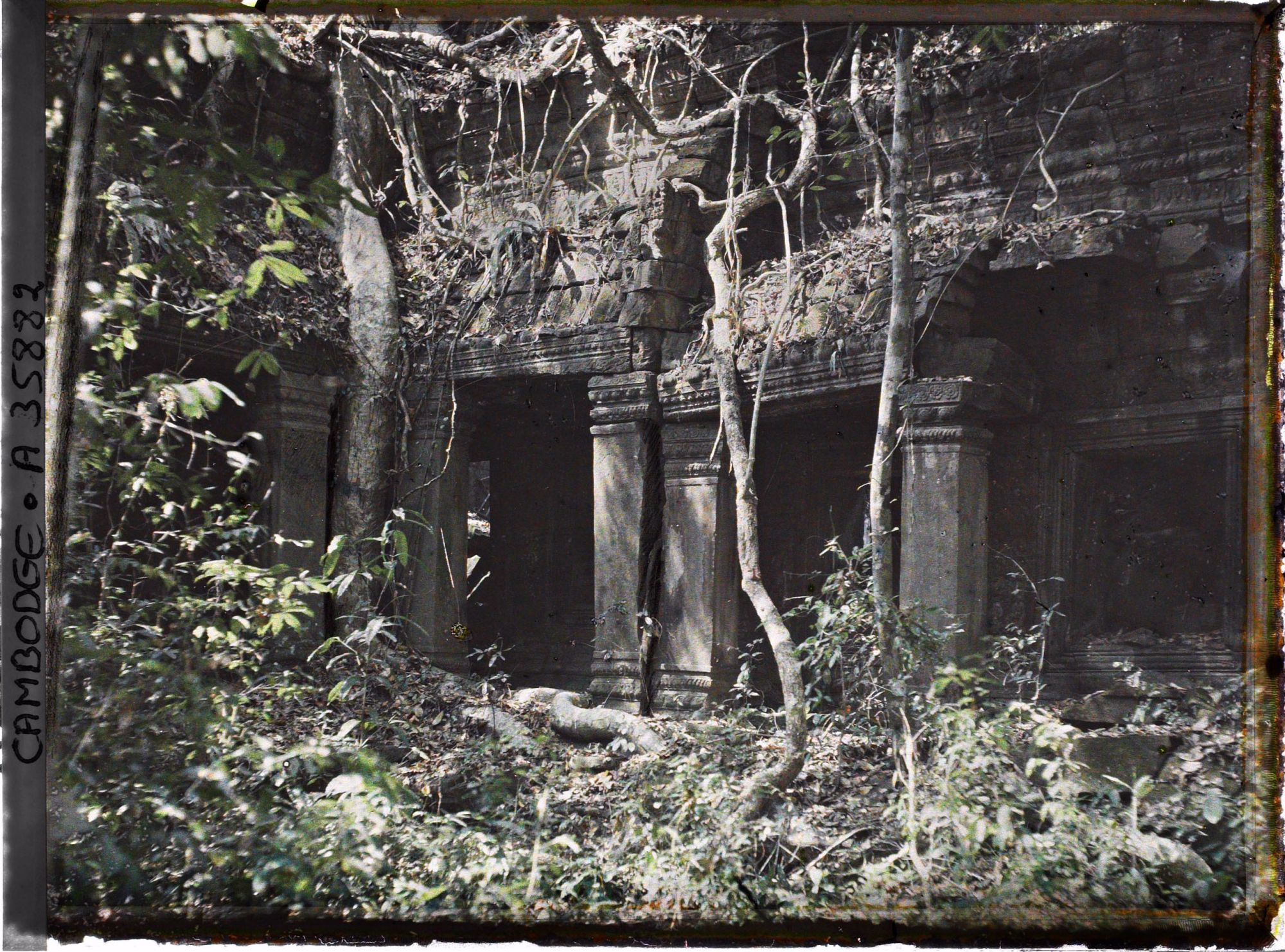 Image représentant Une galerie du grand monastère, envahie par la végétation, au temple Preah Khan
