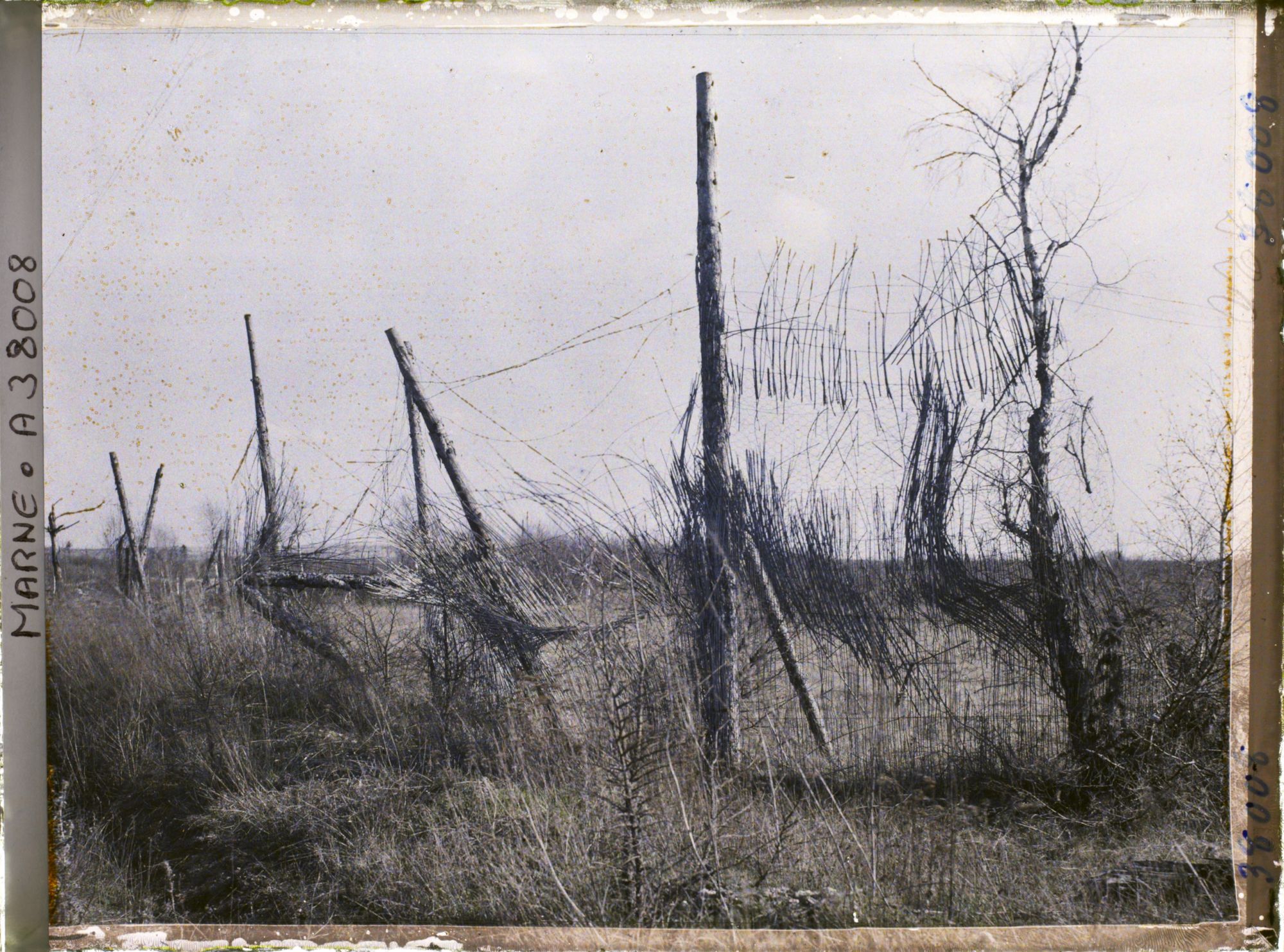 Image représentant France, Nauroy, Vestiges de Camouflage de la route entre Beine et Nauroy