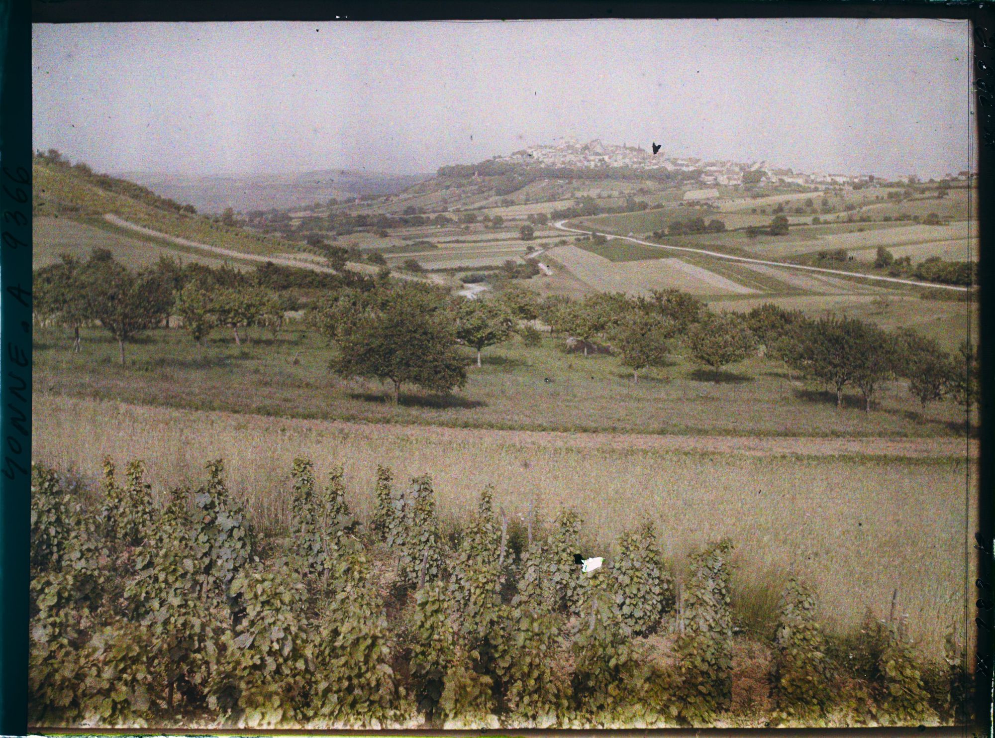 Image représentant Vue de la ville depuis la vallée
