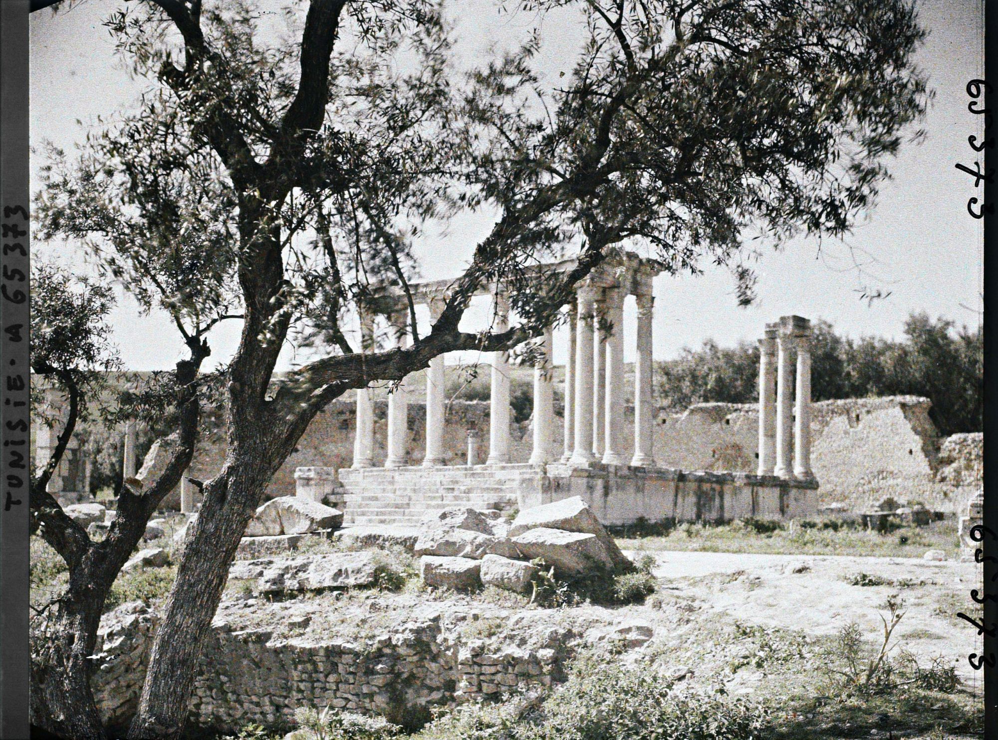 Image représentant Les vestiges du temple de Caelestis
