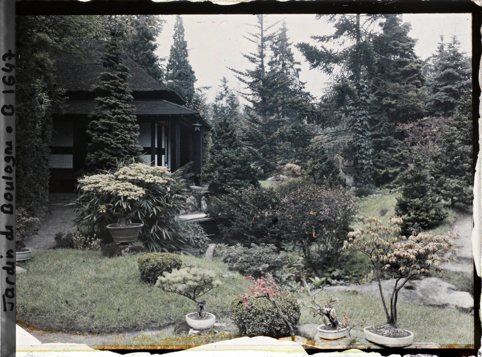 Image représentant Bonsaïs et rivière sèche au coeur du " village japonais ", aux abords de la maison ouest