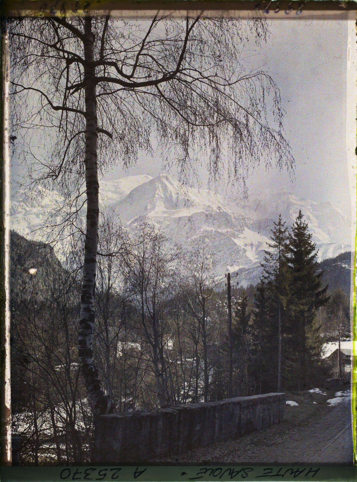 Image représentant France Les Alpes, Vallée de Chamonix ; Paysage Alpestre ; vu vers le Dôme et l'Aige du Gouter et l'Aige de Biomassay