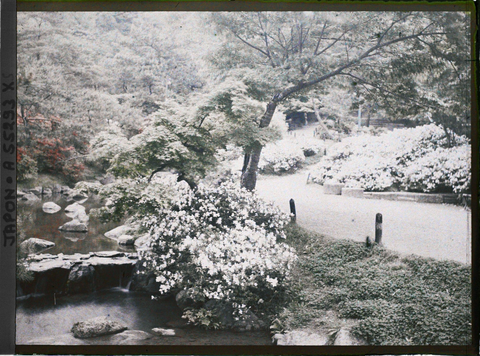 Image représentant Le parc Maruyama (Maruyama kôen)