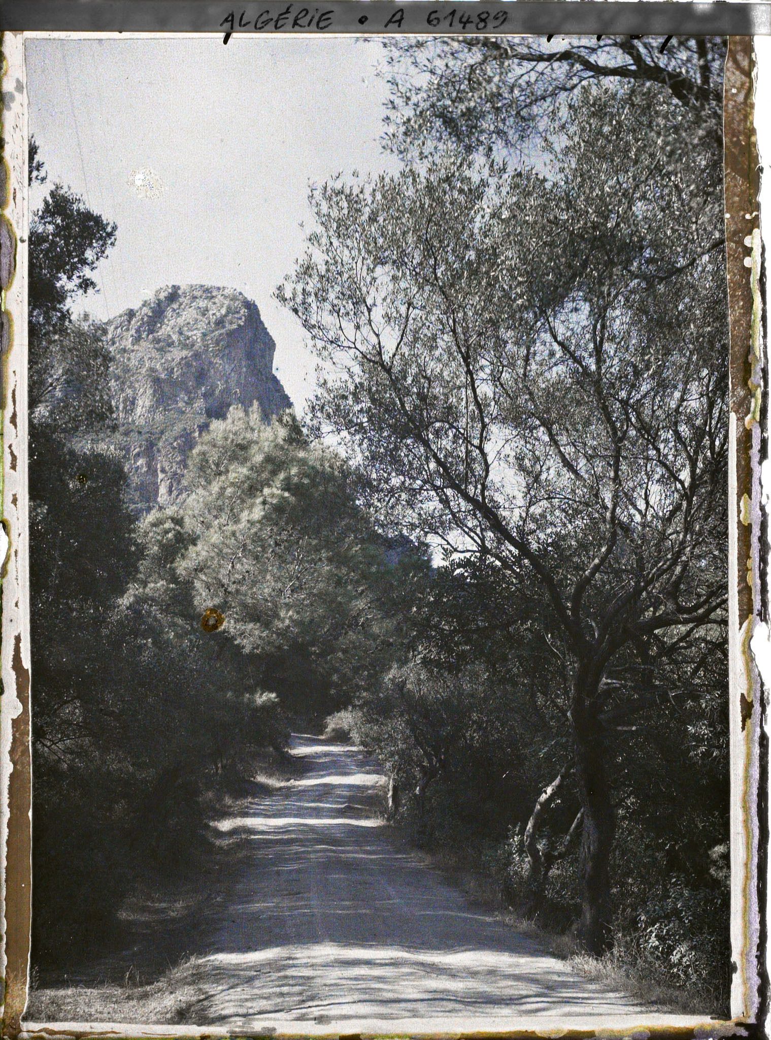 Image représentant Vue sur le djebel Gouraya