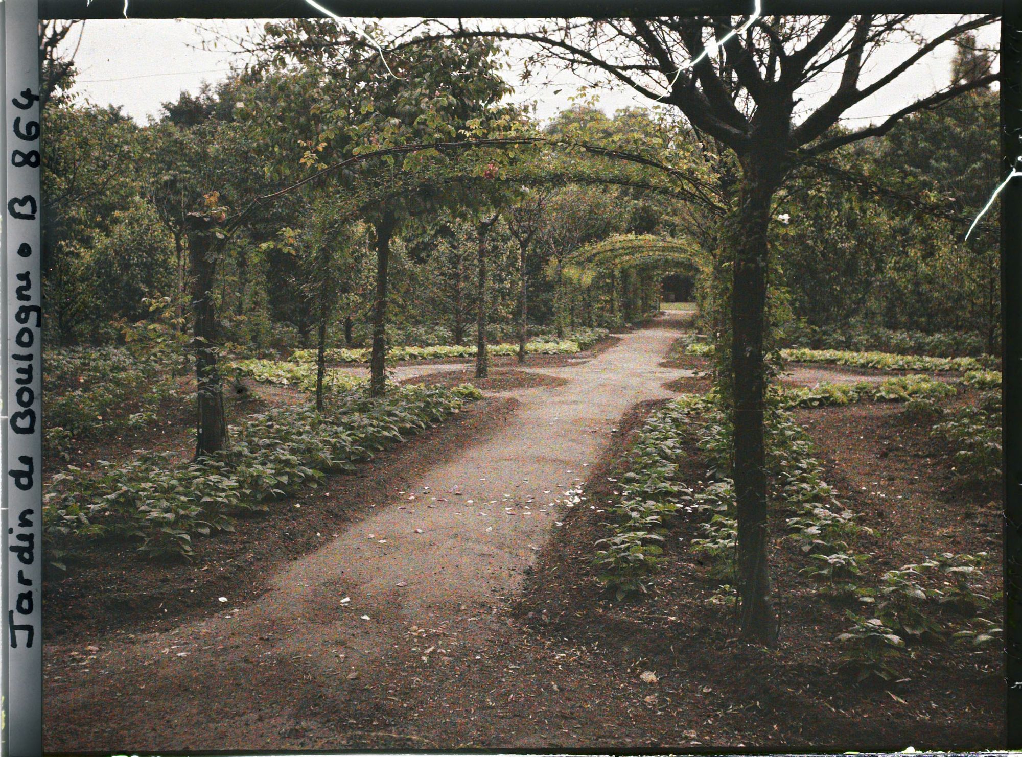 Image représentant Axe central du verger-roseraie bordé de légumes, vu près de la dépendance, en direction de l'est
