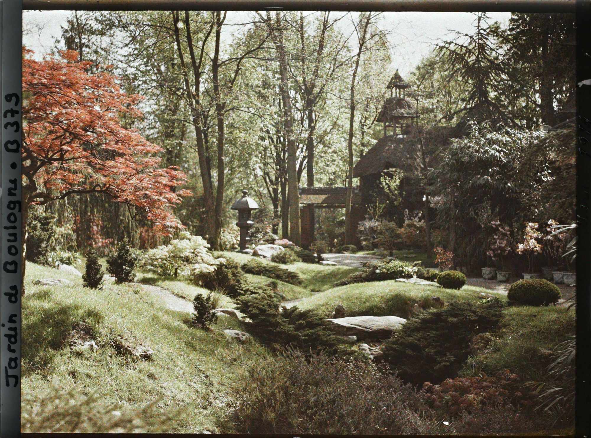 Image représentant Érable rougeoyant et rivière sèche au cœur du " village japonais " vus en direction du jardin anglais