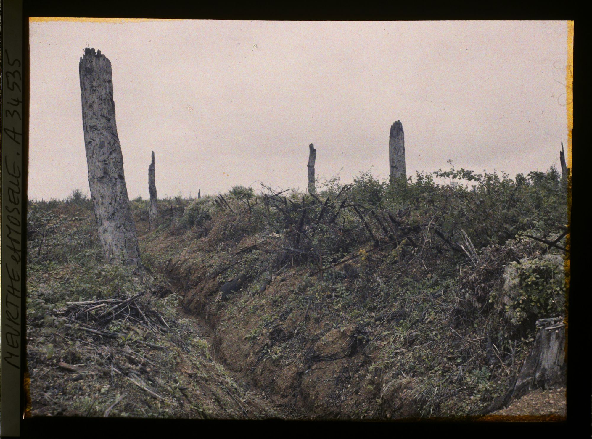 Image représentant France, Bois le Prêtre, Première ligne Française