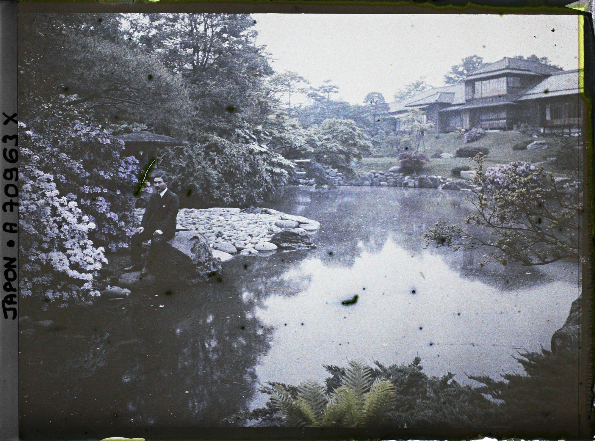 Image représentant Jardin d'une résidence
