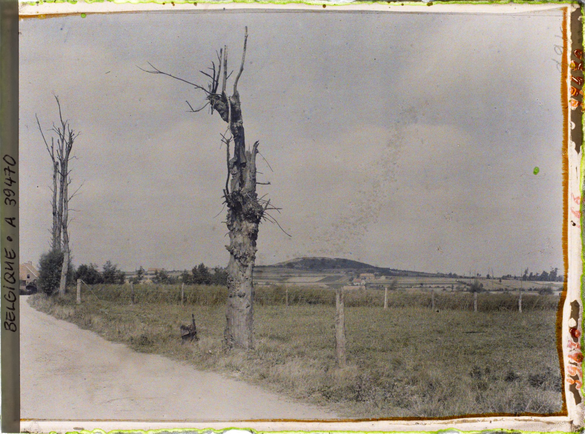 Image représentant Belgique, Kemmel, Le Scherpenberg