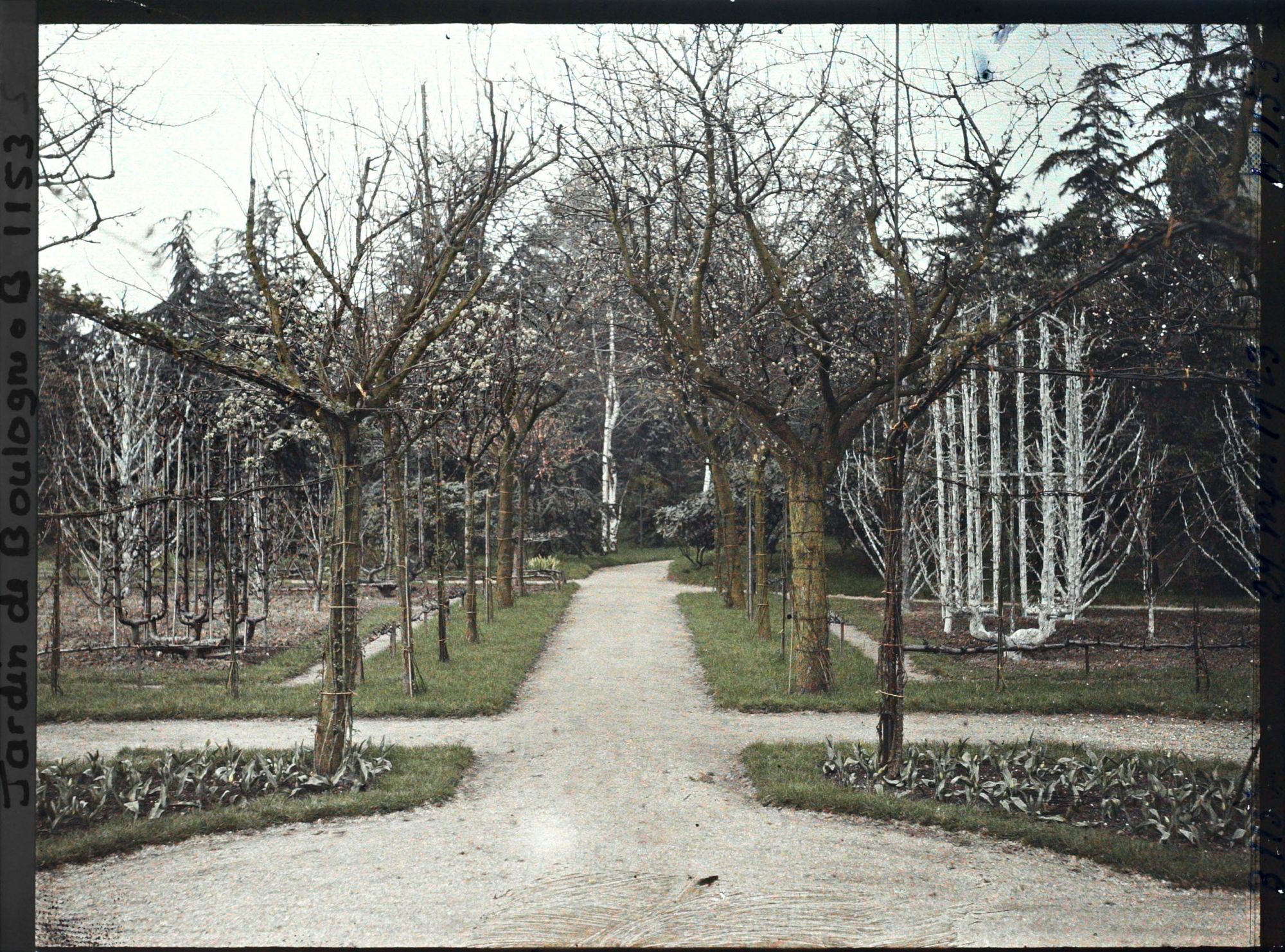 Image représentant Allée du verger-roseraie menant à la forêt bleue, depuis le rond-point proche du jardin français