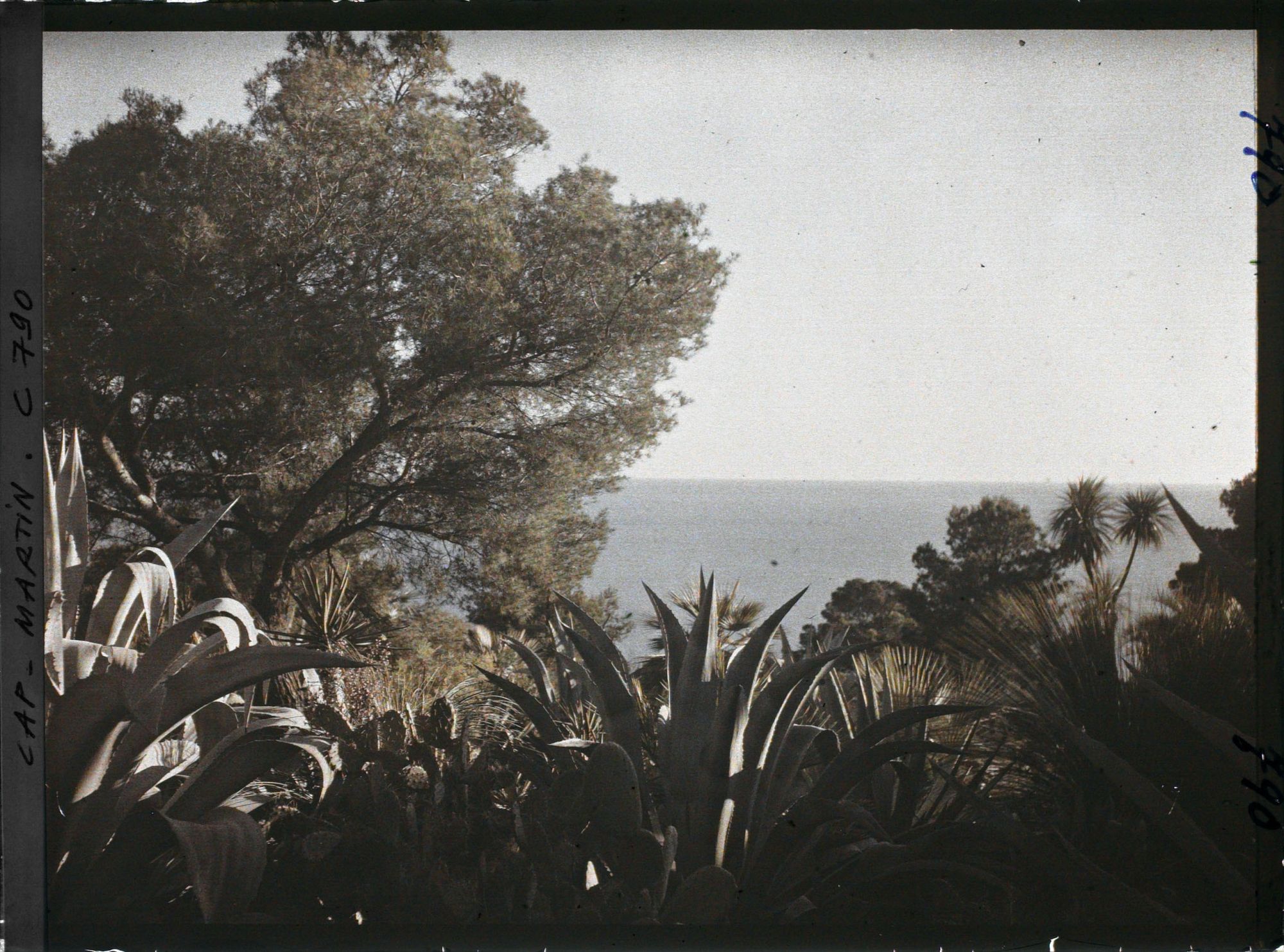 Image représentant le jardin vue vers la mer