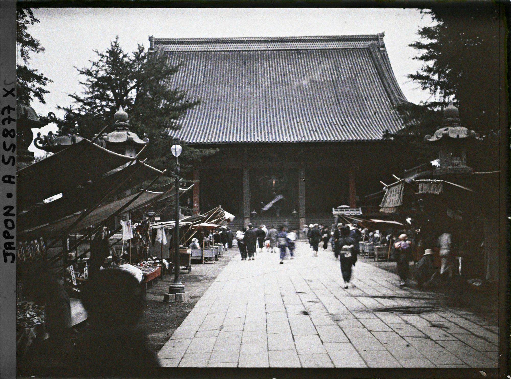Image représentant Temple d'Asakusa (Senso-ji)