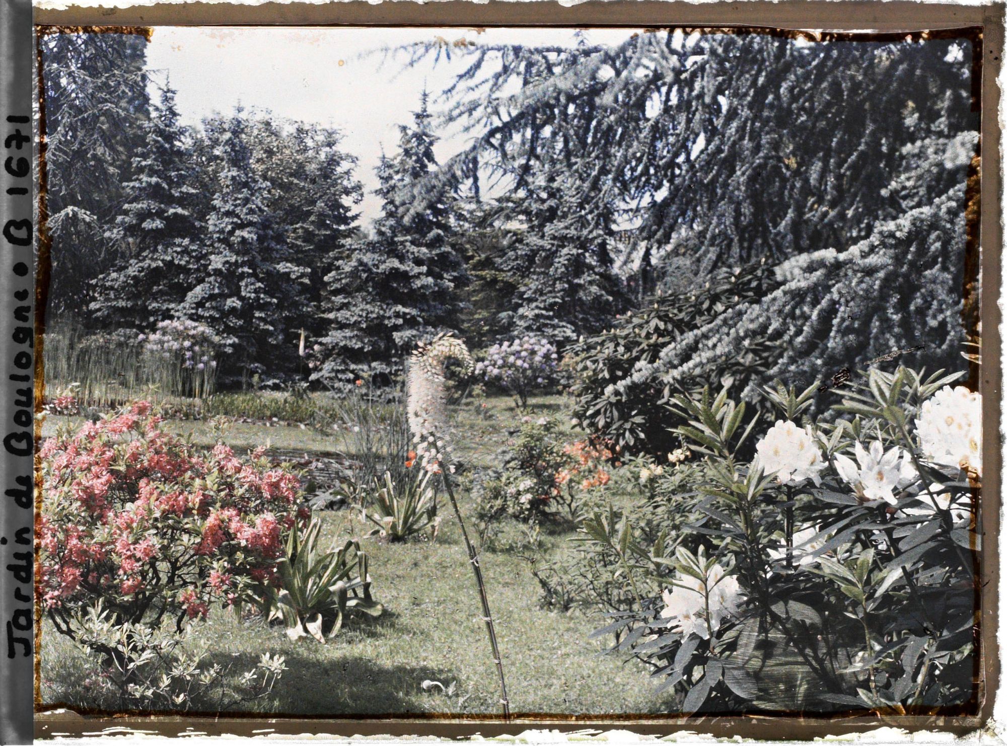 Image représentant Ensemble fleuri près des " étangs ", en bordure est du marais vu en direction du nord