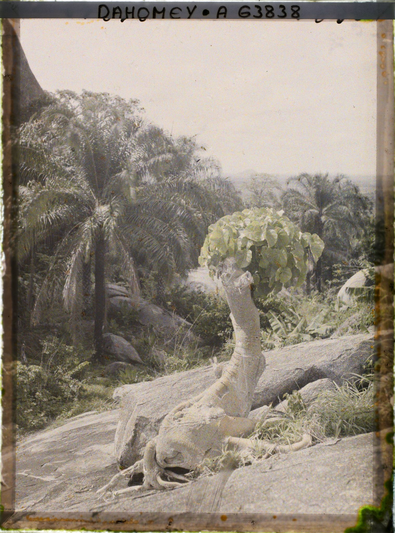 Image représentant Paysage de montagne