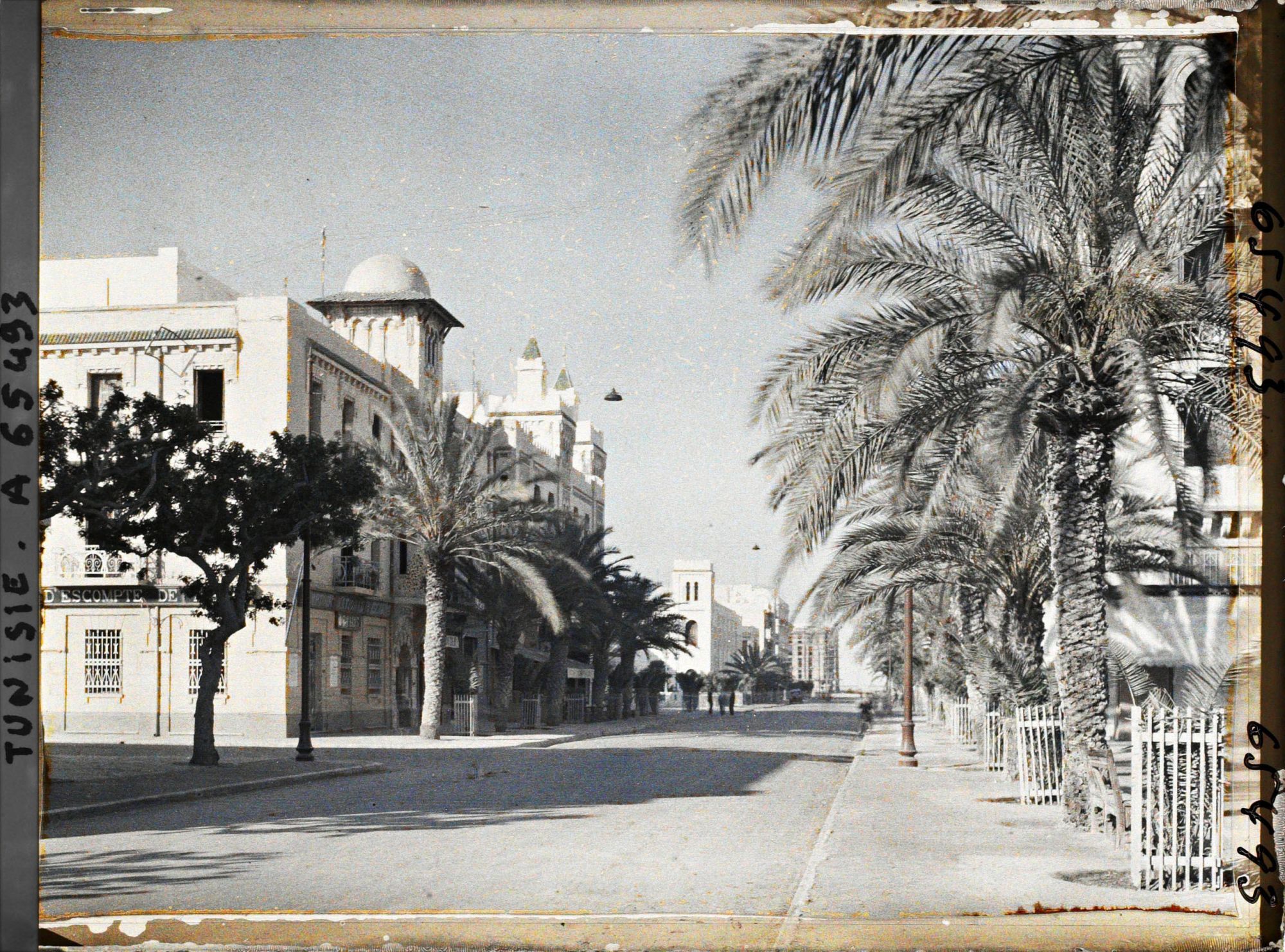 Image représentant L'avenue Jules Gau