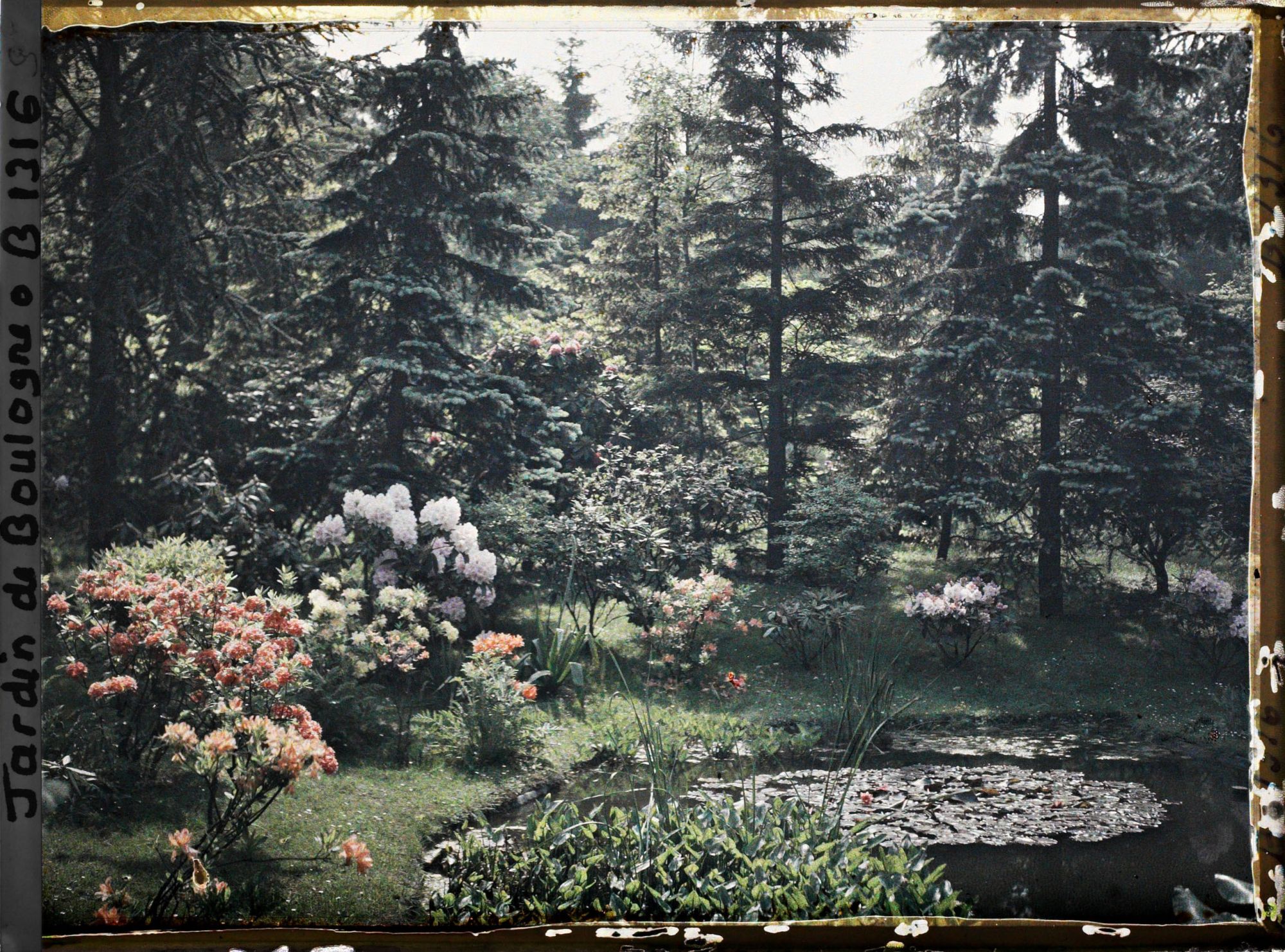 Image représentant Berges fleuries situées au nord-est du marais, vues en direction de l'est, sud-est