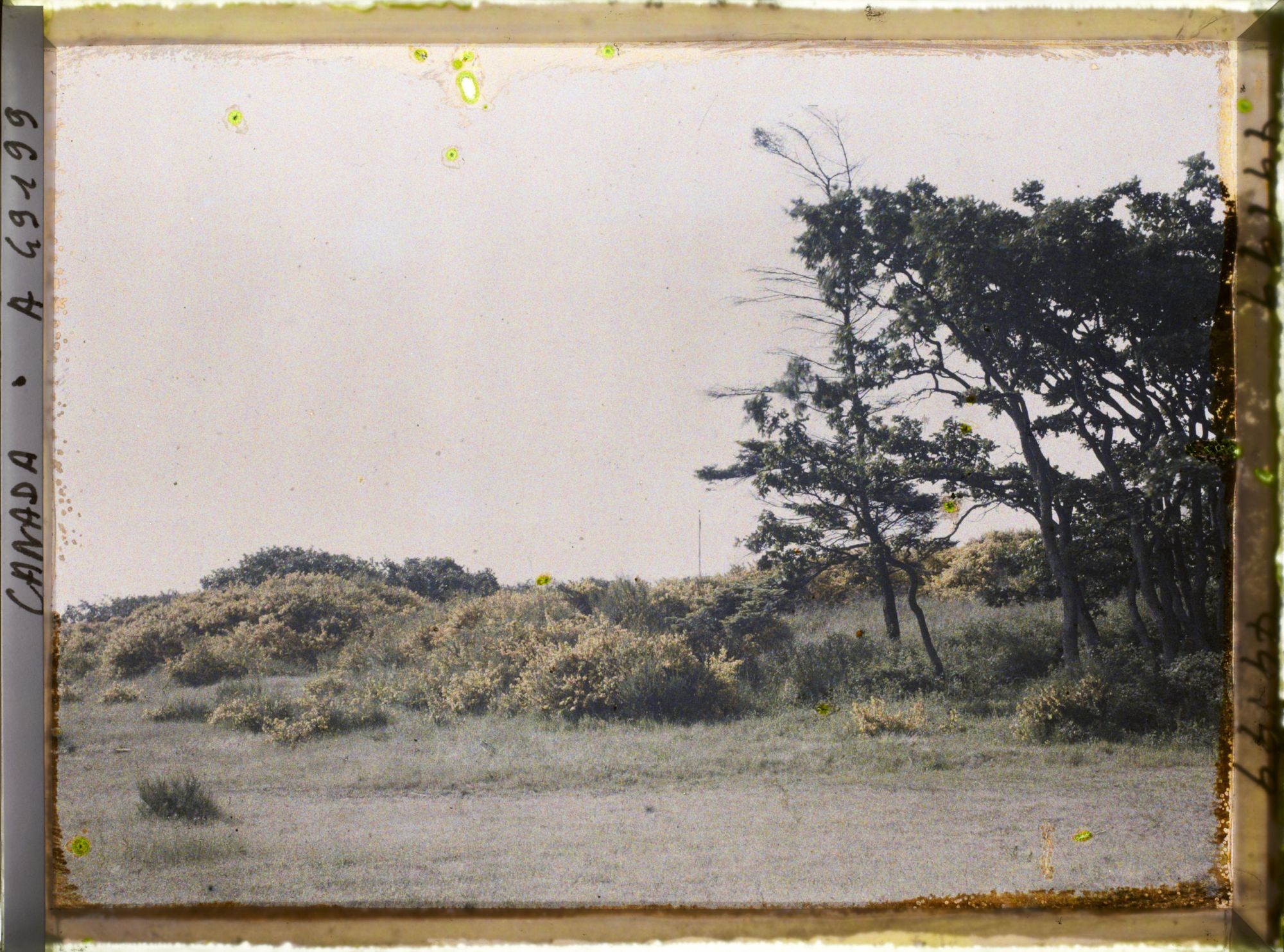 Image représentant Canada,Victoria, Beaconhill parc