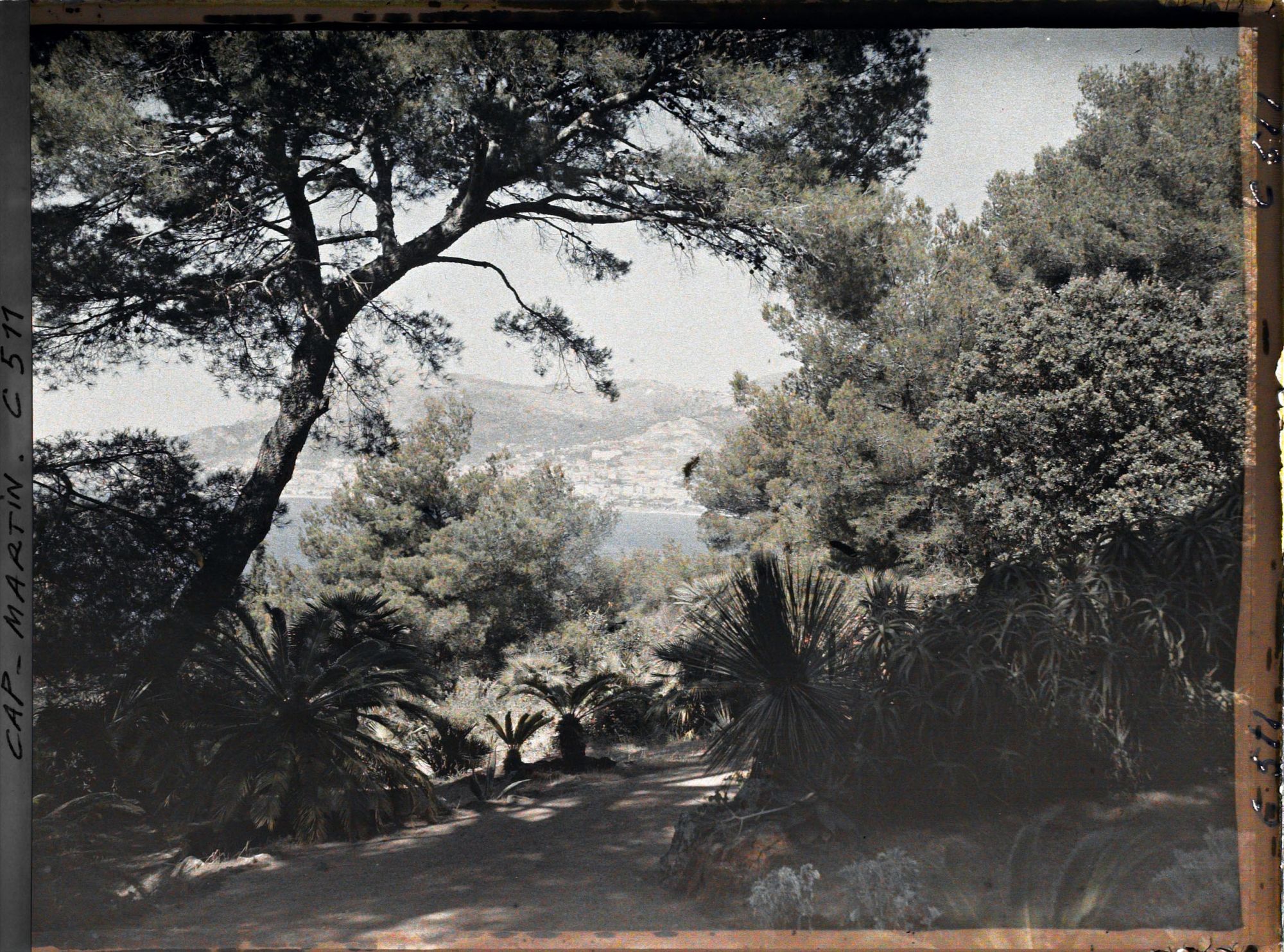 Image représentant Jardin de Miramar