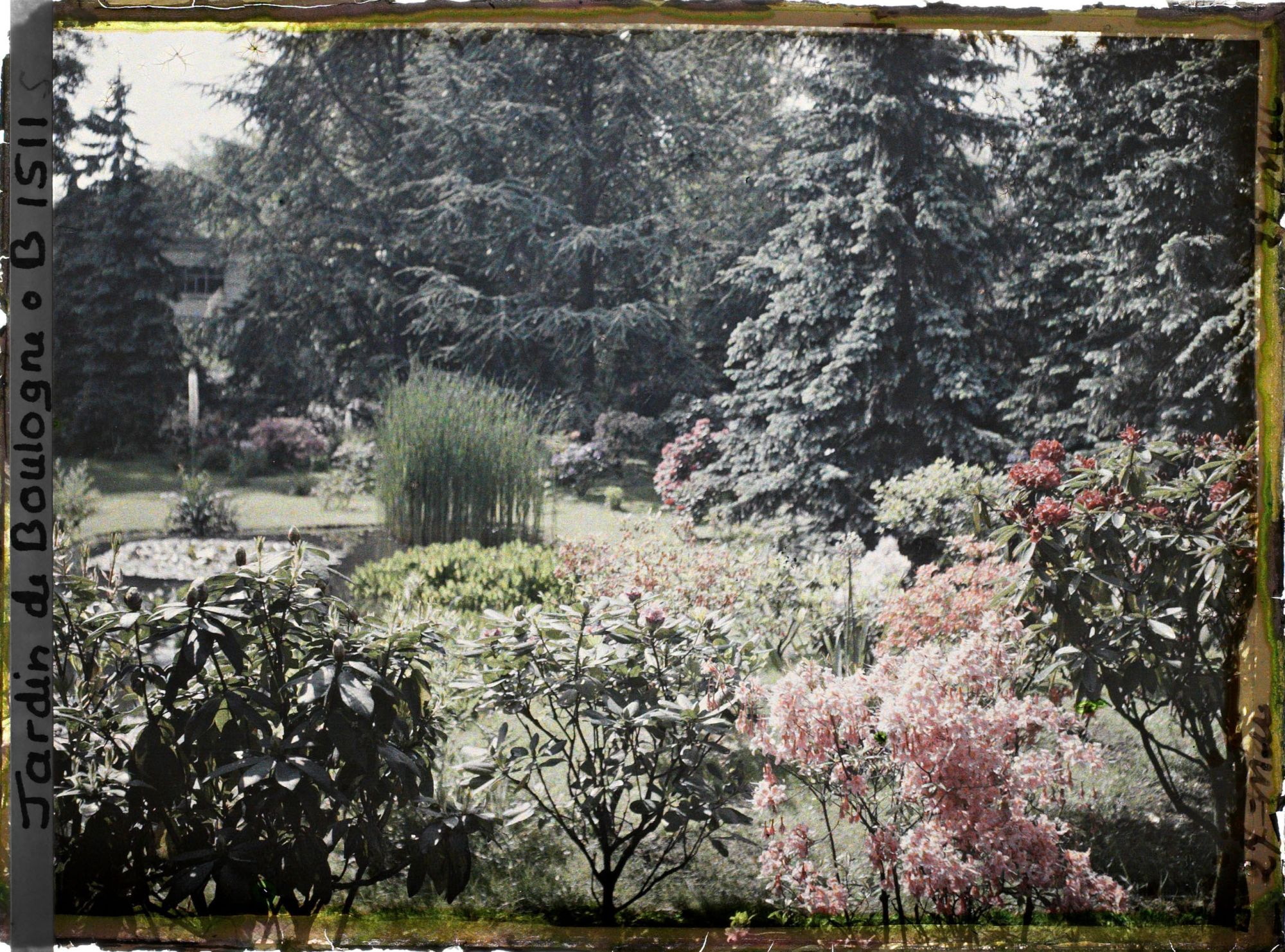 Image représentant Le marais