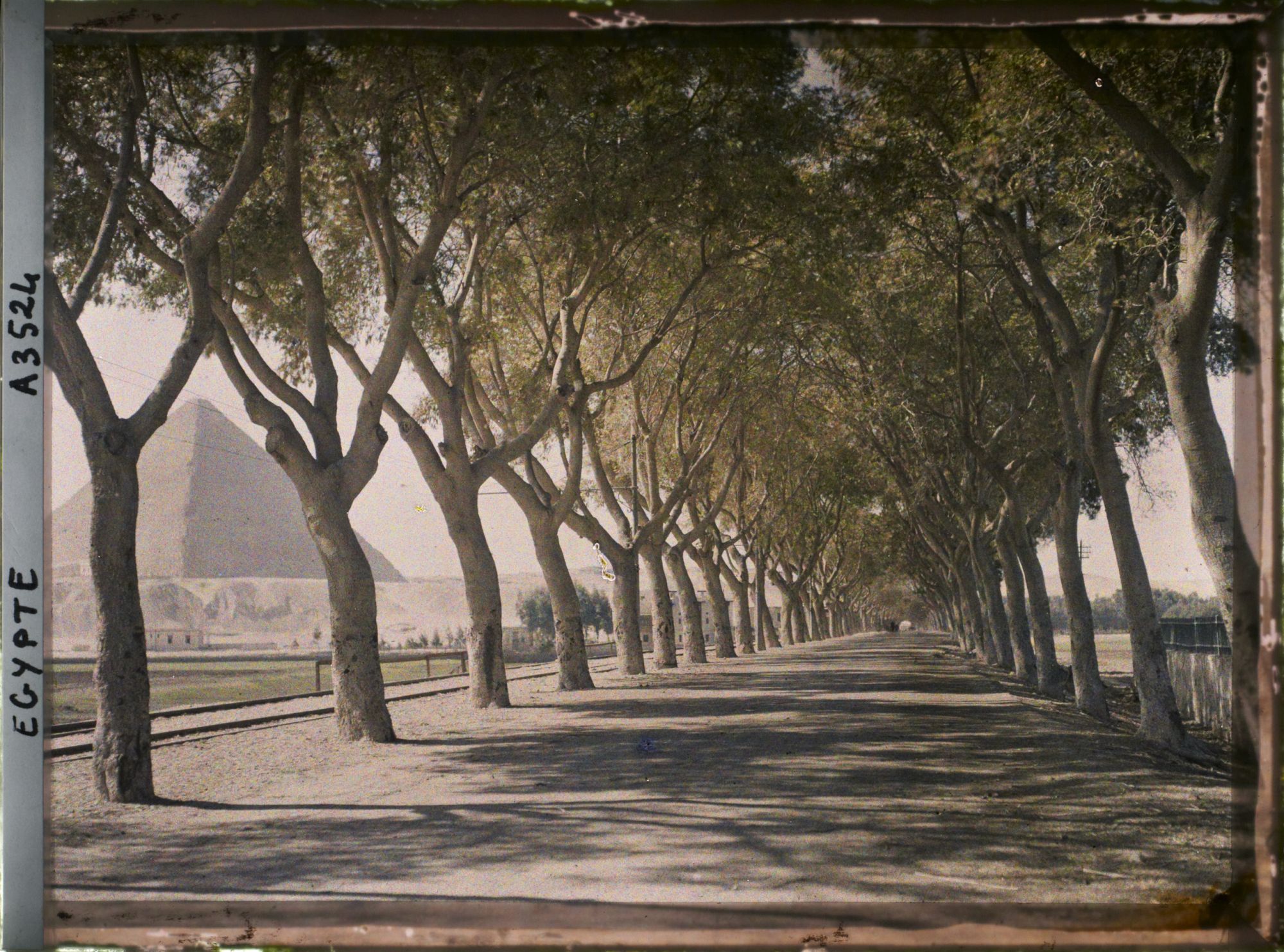 Image représentant Route conduisant aux pyramides de Gizeh