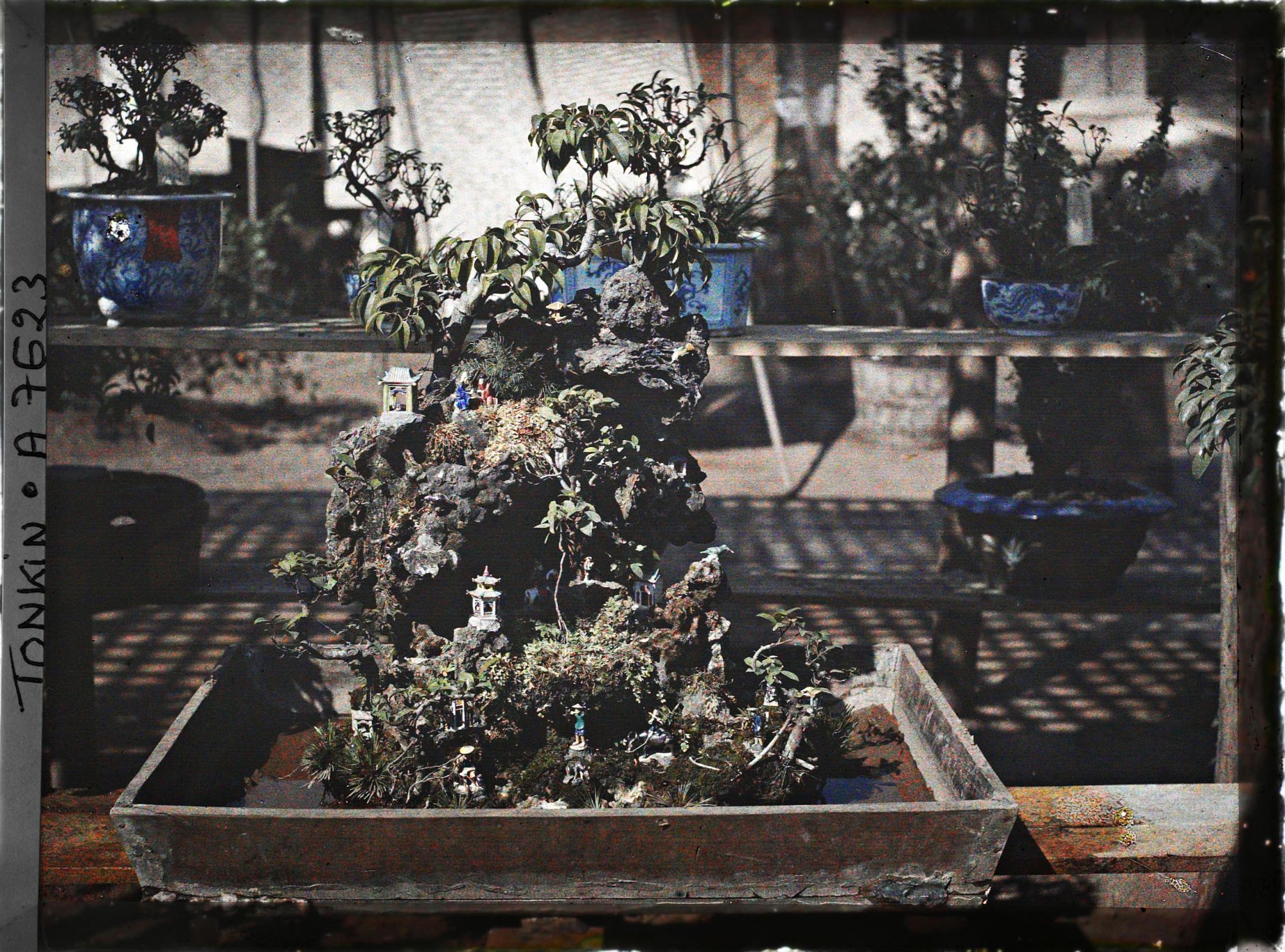 Image représentant Un jardin miniature en rocaille (ou " paradis " bouddhique ") faisant partie d'une exposition florale