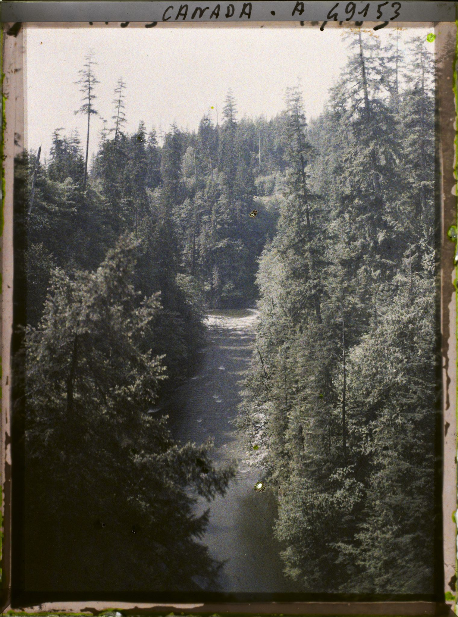 Image représentant Canada, Vancouver, Capilane Canyon, Le 1er Canyon amont