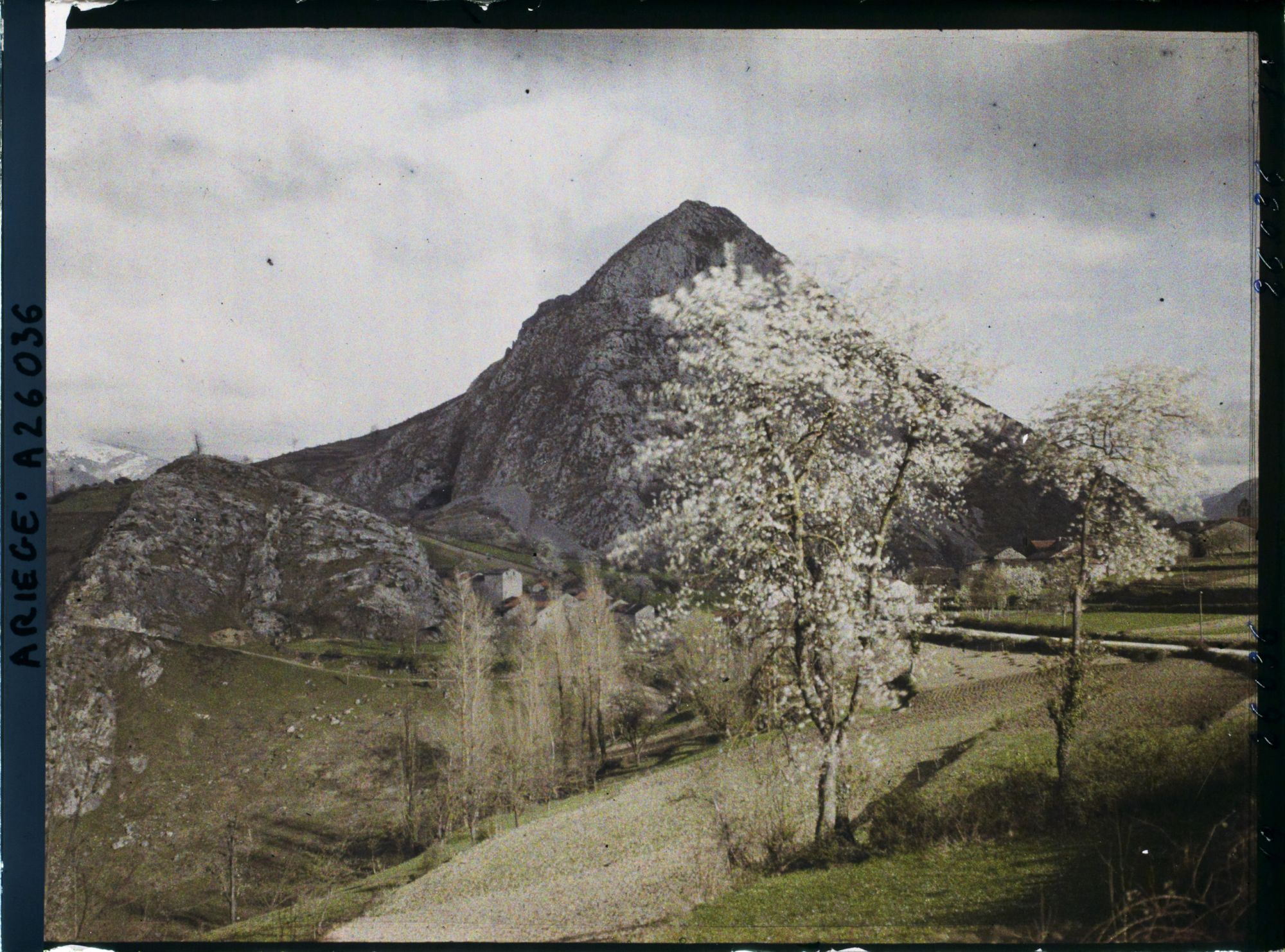 Image représentant La commune à travers les cerisiers en fleurs et le Soudour