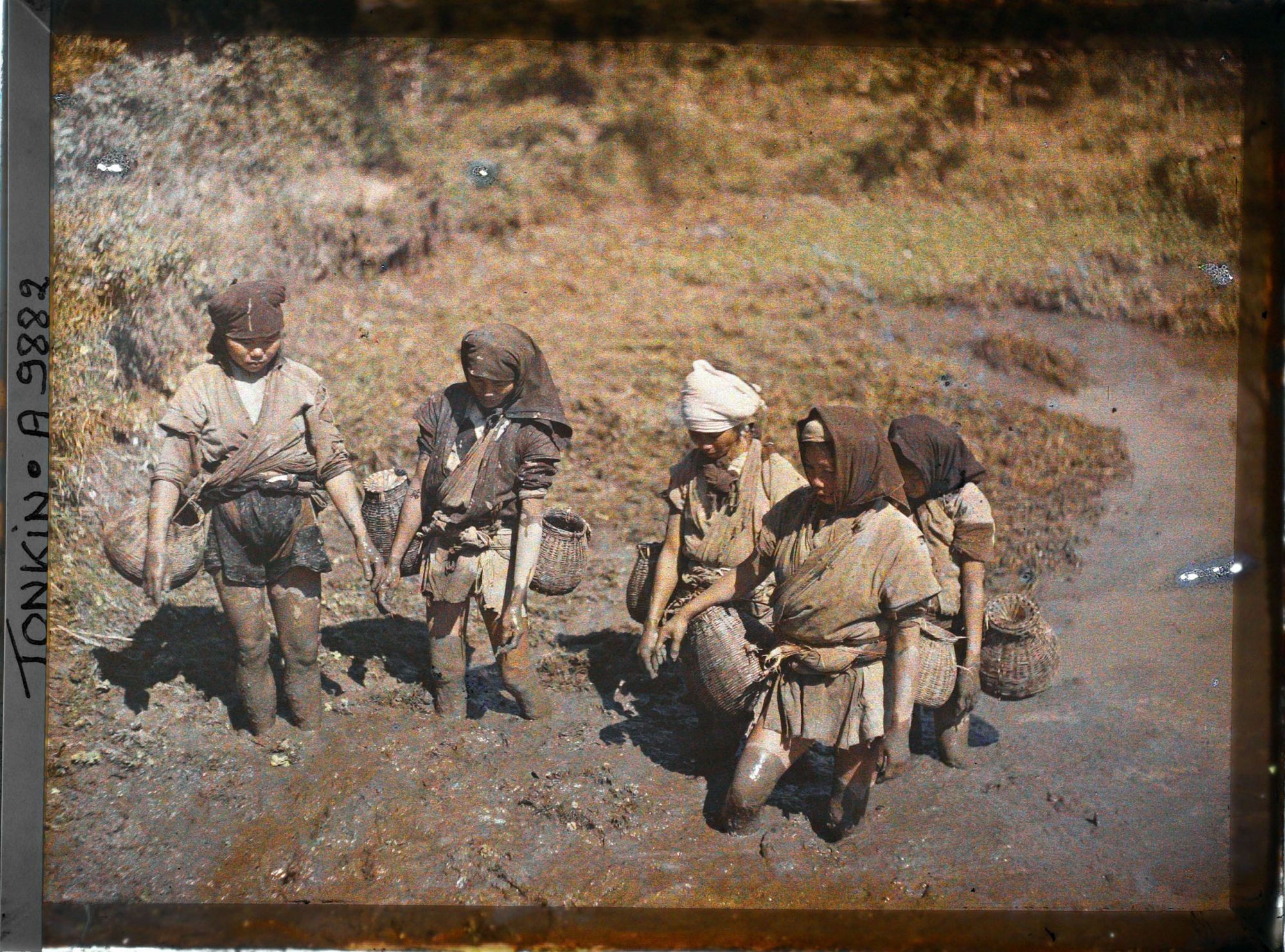 Image représentant Des pêcheuses de crustacés d'eau douce