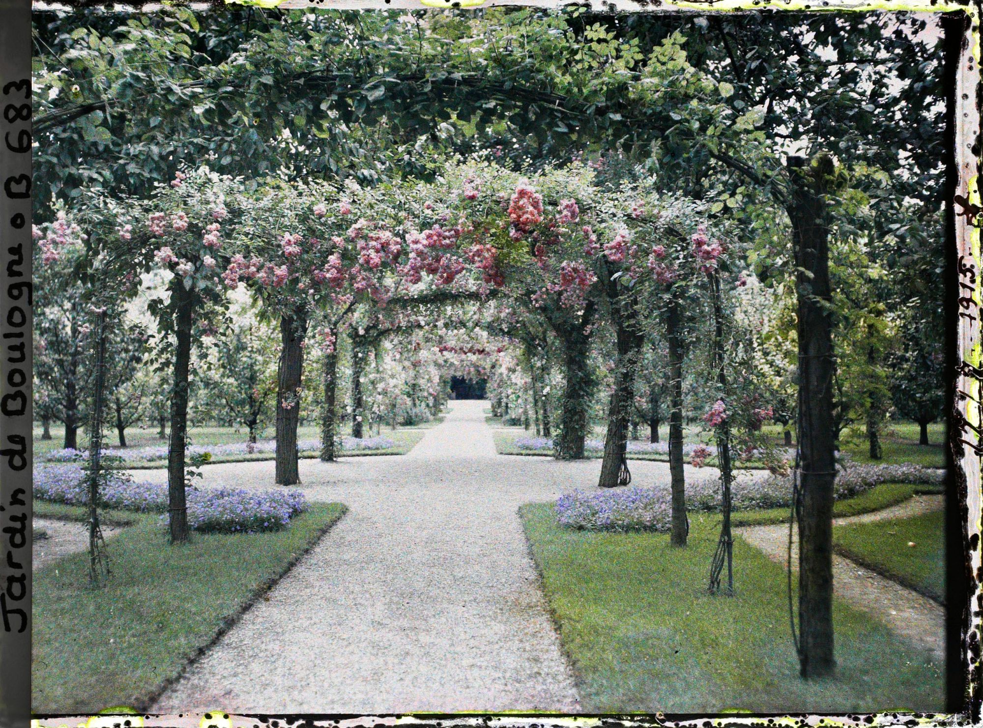 Image représentant Axe central du verger-roseraie photographié non loin de la dépendance, en direction du jardin anglais