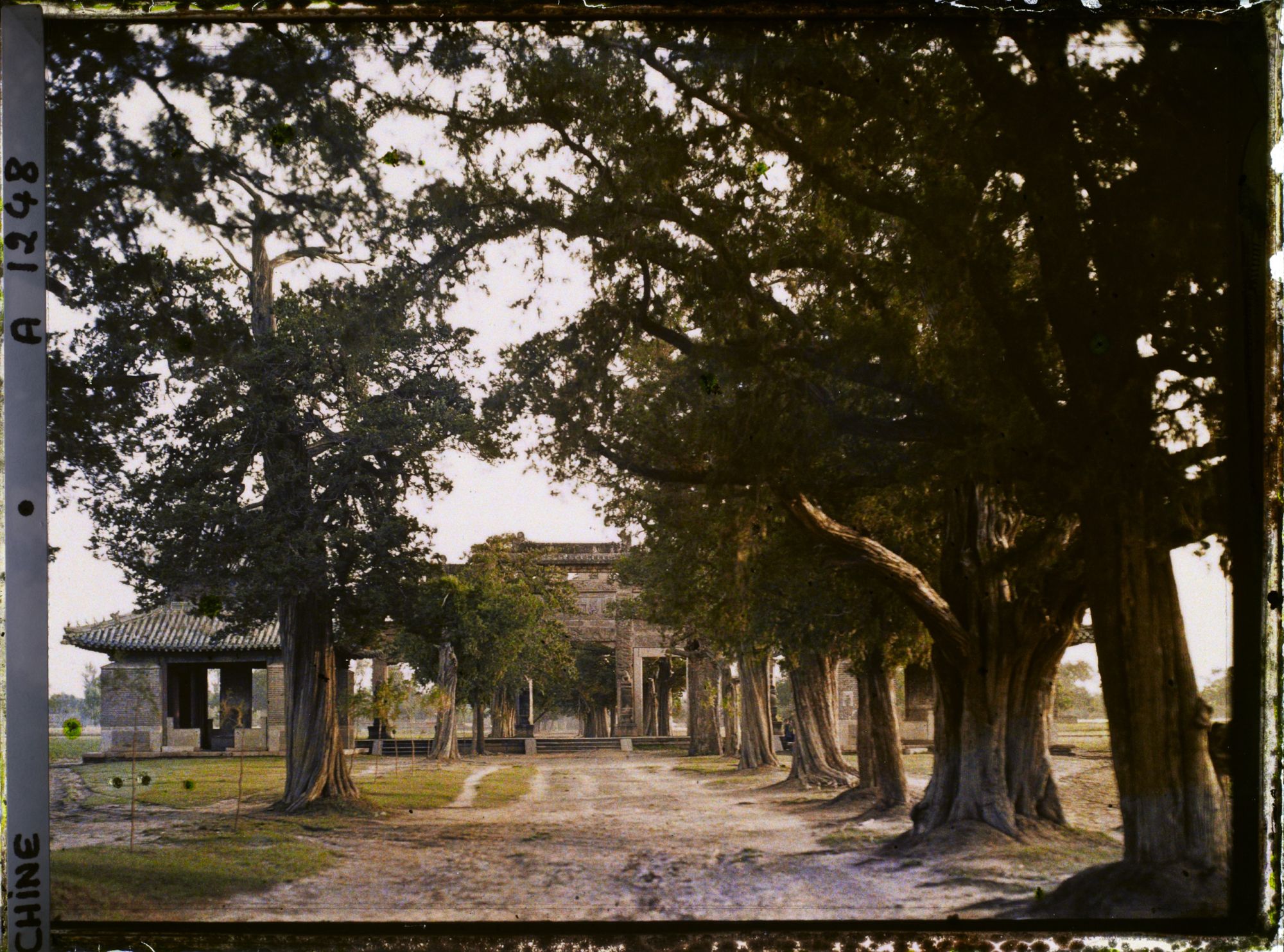 Image représentant Shendao (" voie de l'Ame "), vers Konglin, la nécropole de la famille de Confucius