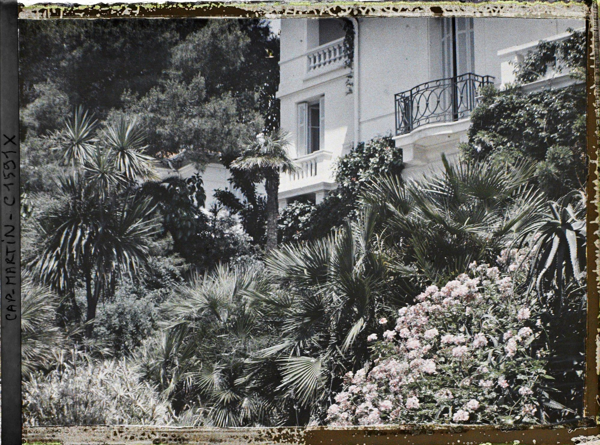 Image représentant Partie de la villa Miramar rénovée et de son jardin, vus en direction du Nord-Est