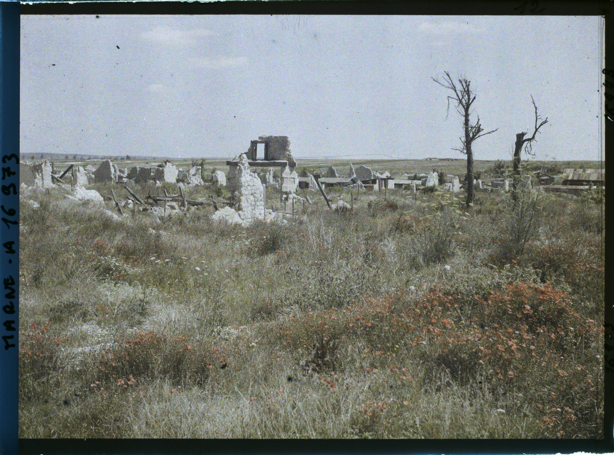 Image représentant France, Beine, Le Village de Beine Coquelicots au 1er plan