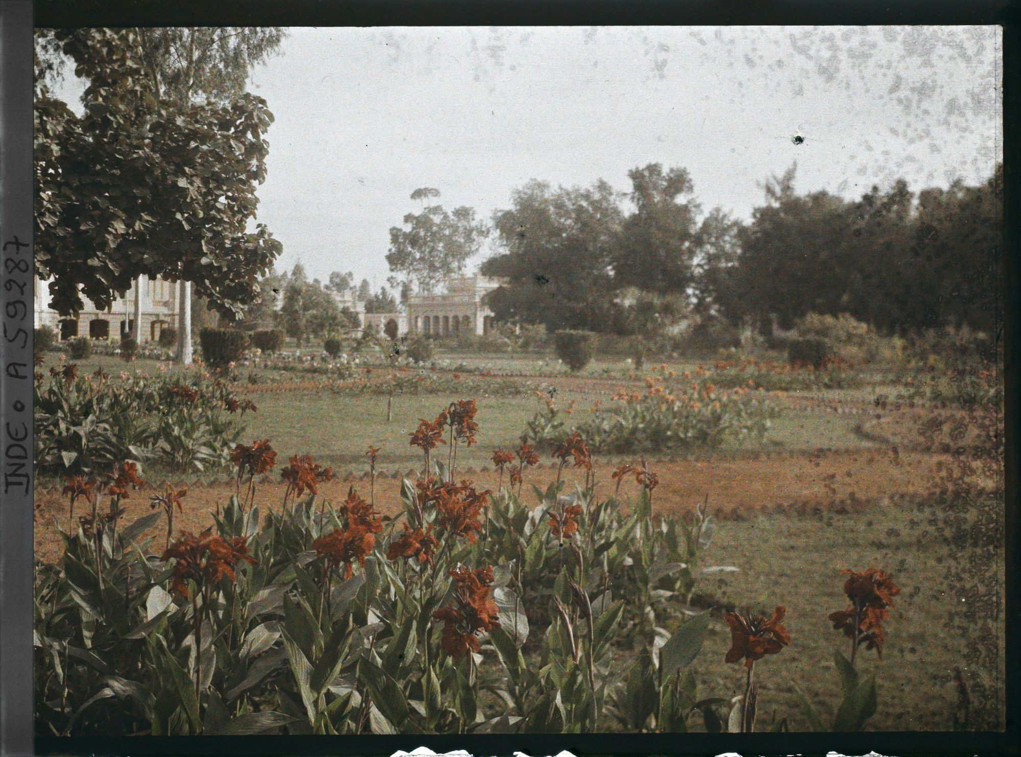 Image représentant Parc du palais Jagatjit (?)