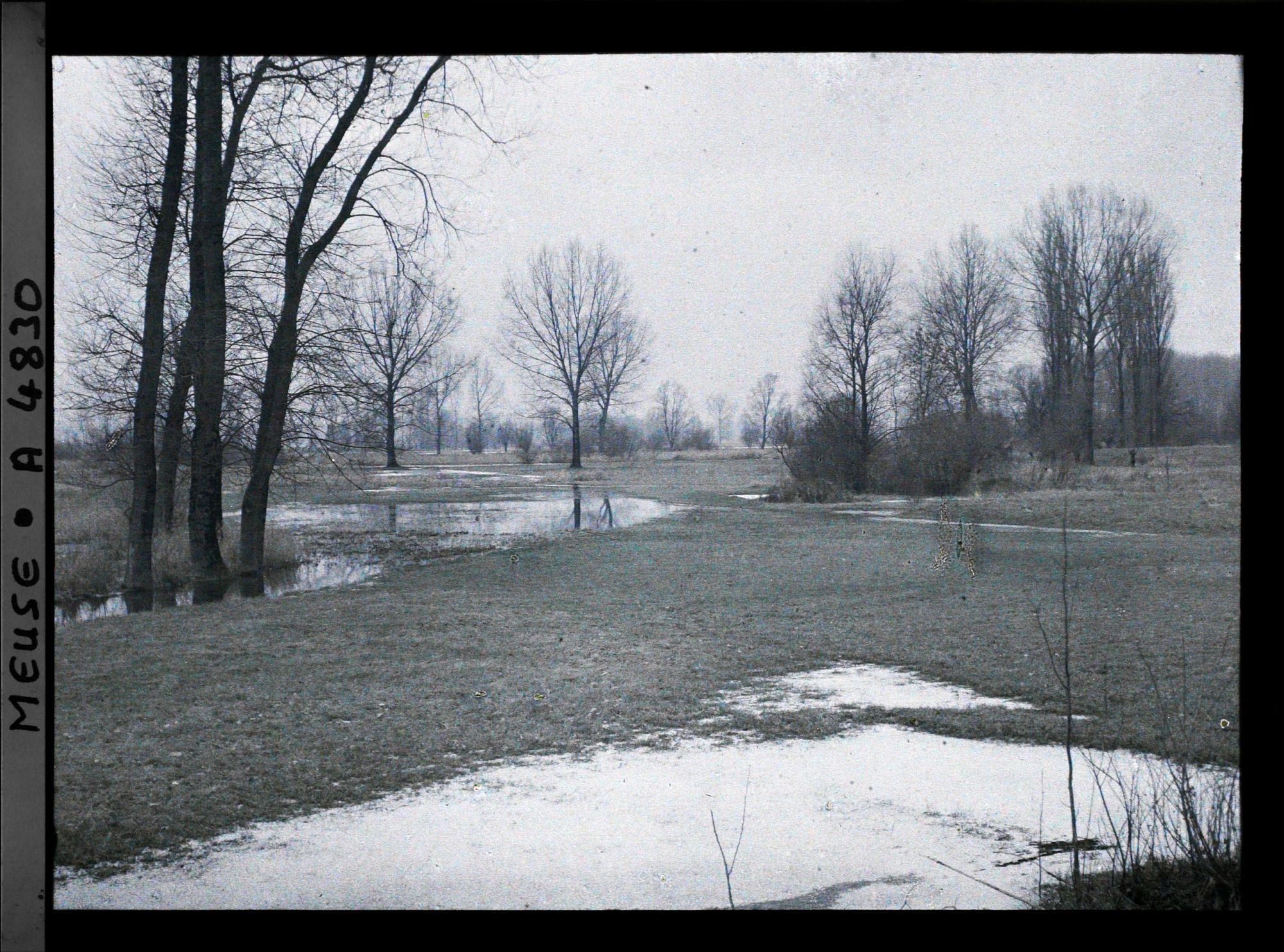 Image représentant Entre Laimont et Vassincourt. La Vallée de l'Ornain en aval de Bar ; les marécages