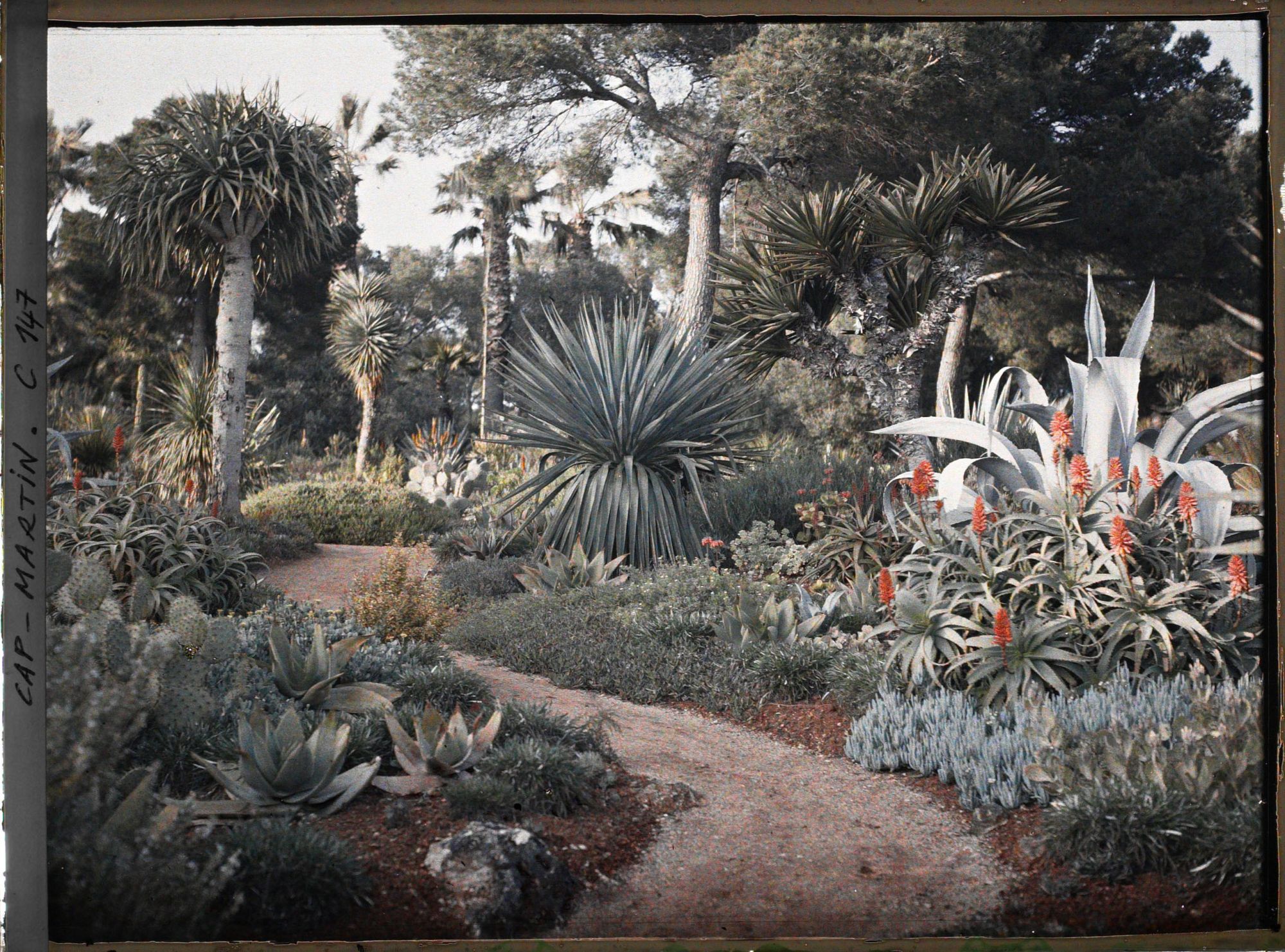 Image représentant Cap Martin - Le Jardin