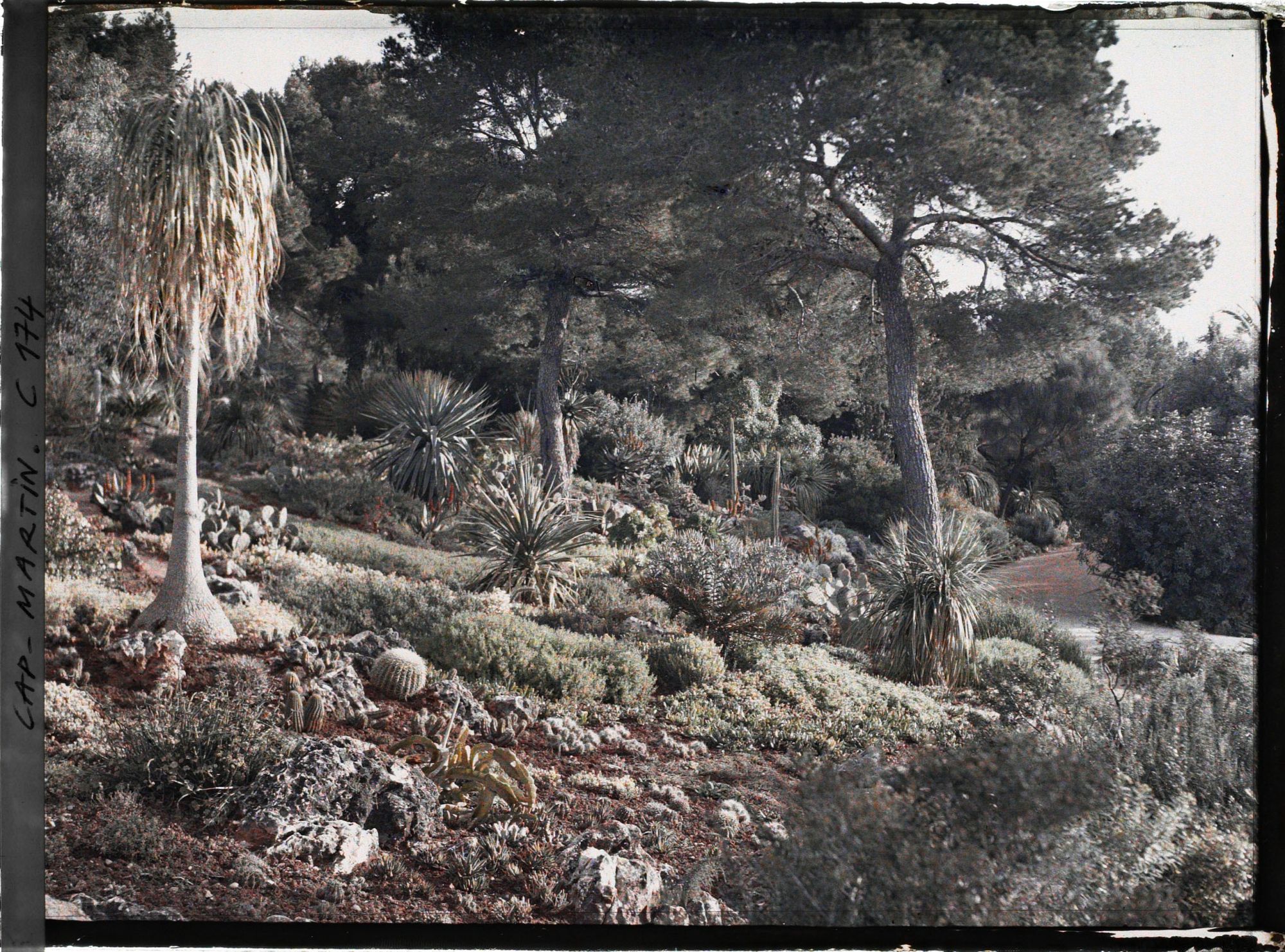Image représentant Cap Martin - Le Jardin