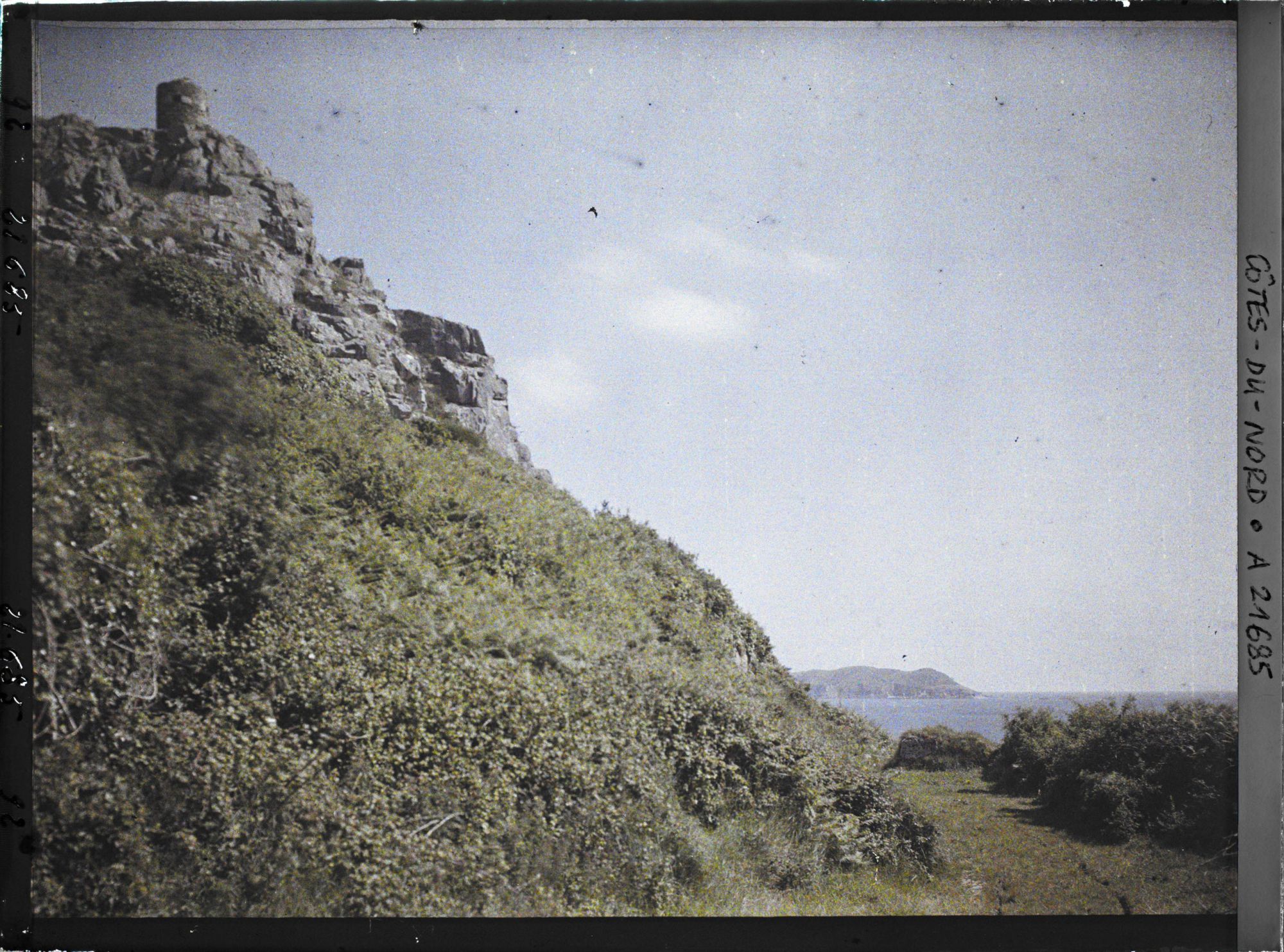 Image représentant Roches et végétation sur la pointe du Château ; à l'arrière-plan, l'île Tomé