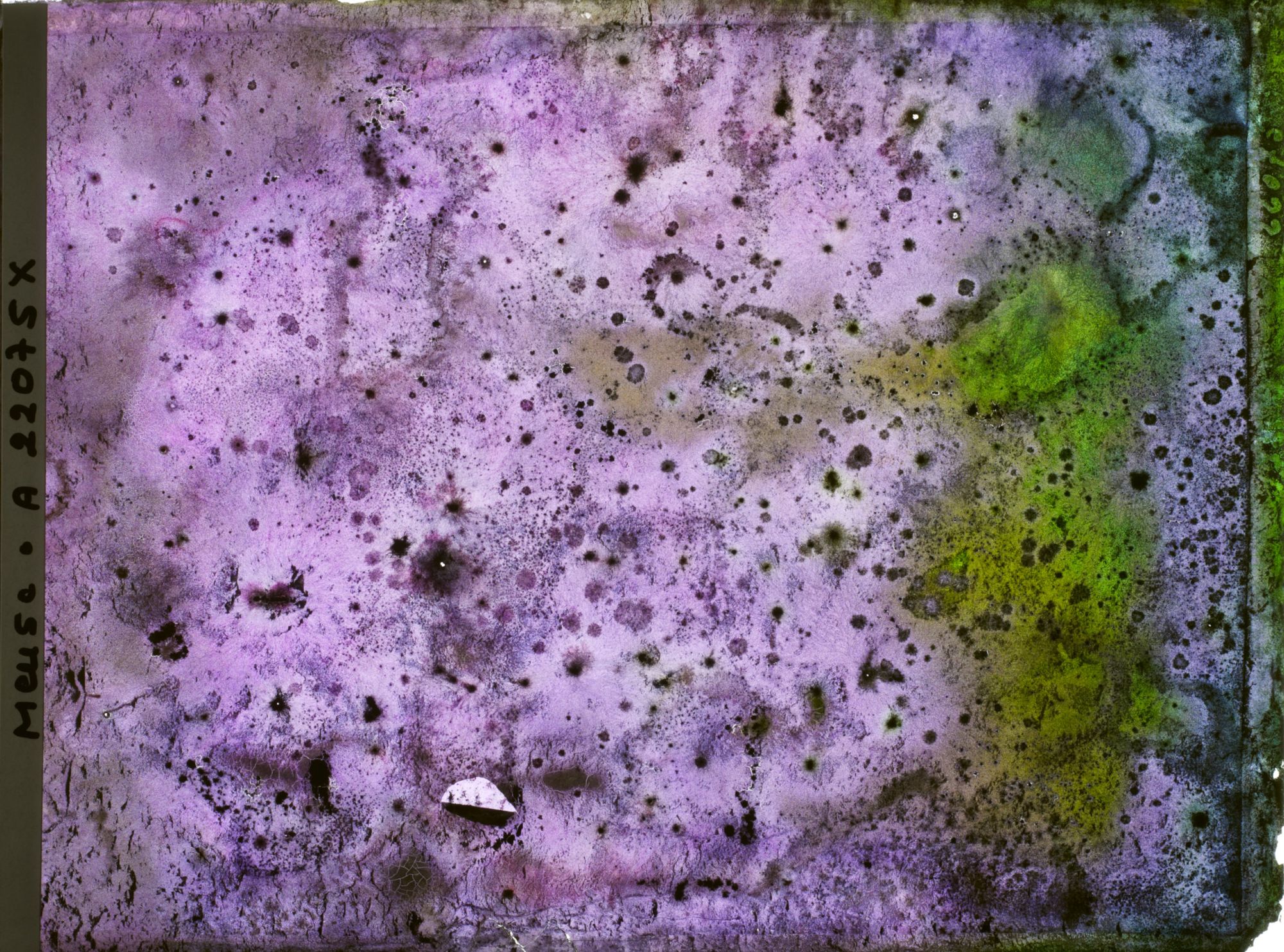 Image représentant Image illisible, plaque endommagée par l'eau (altérations d'époque)