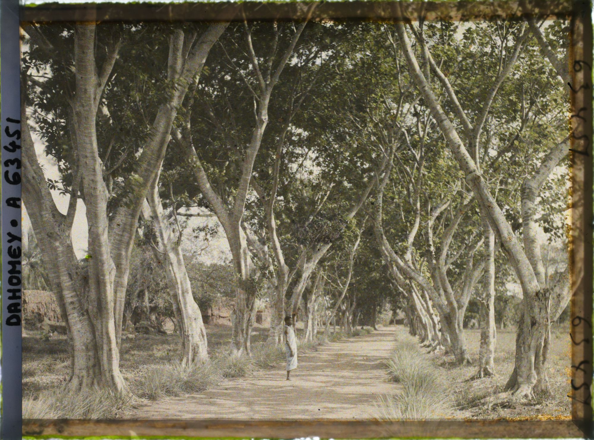 Image représentant Une allée près du mur d'enceinte du palais de  null Guézo