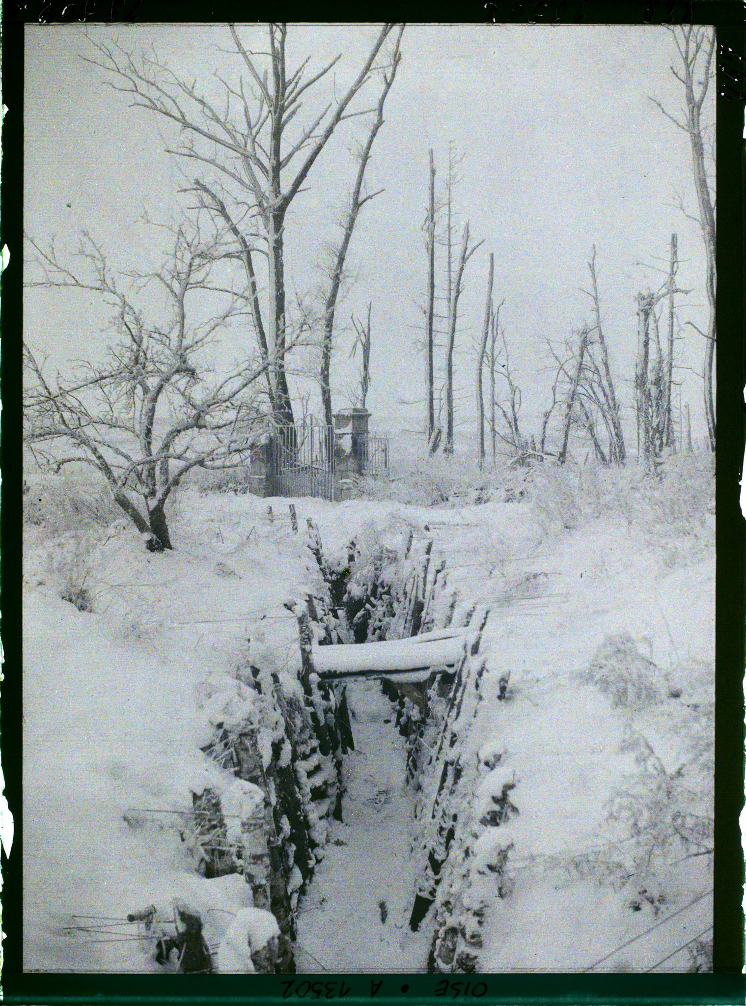 Image représentant France, Bois des Loges, Tranchées du Château