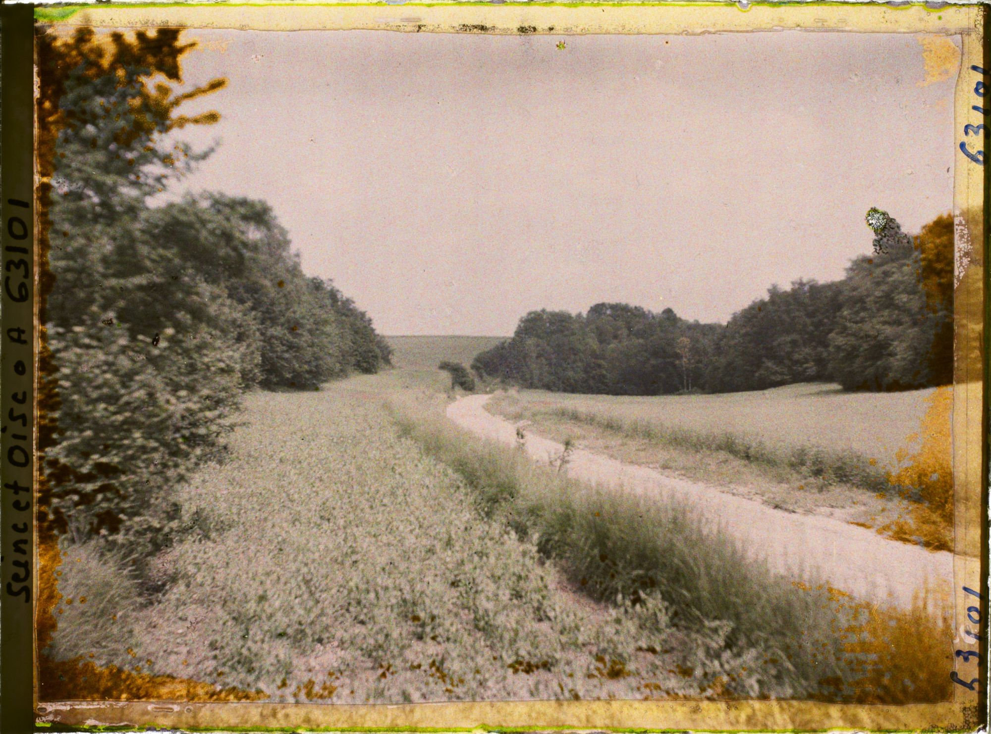 Image représentant Ile de France, Luzarches, Pois et blé
