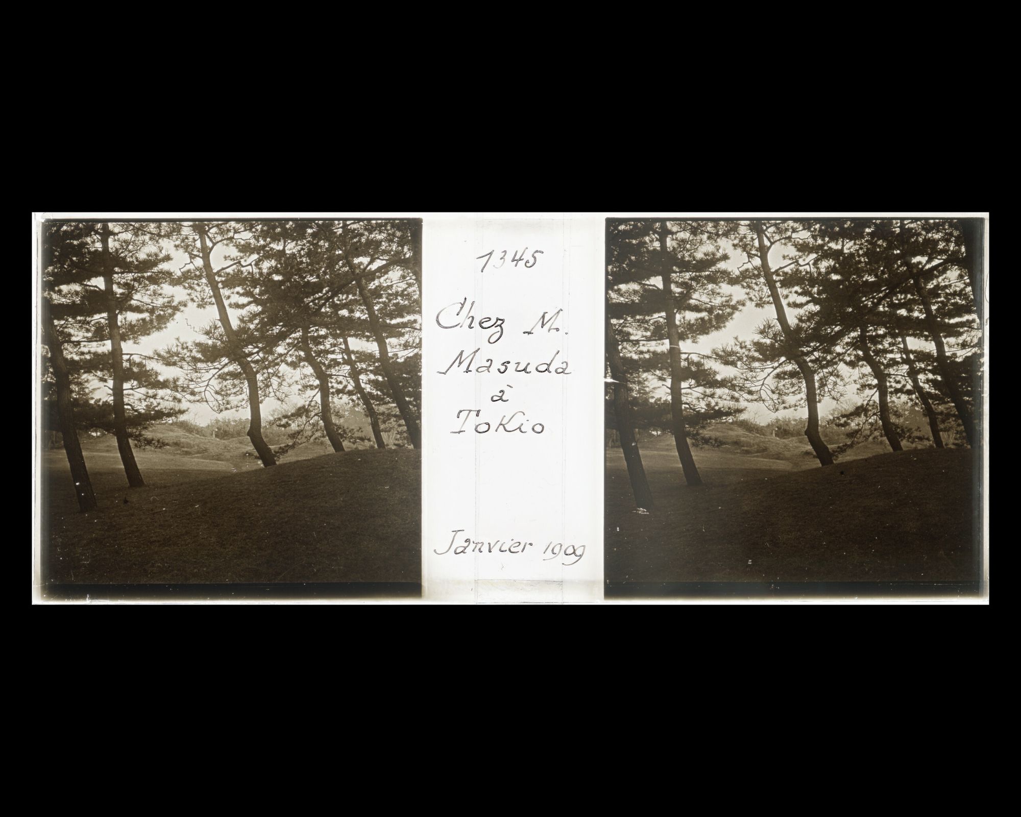 Image représentant Le jardins de la résidence de M. Matsuda